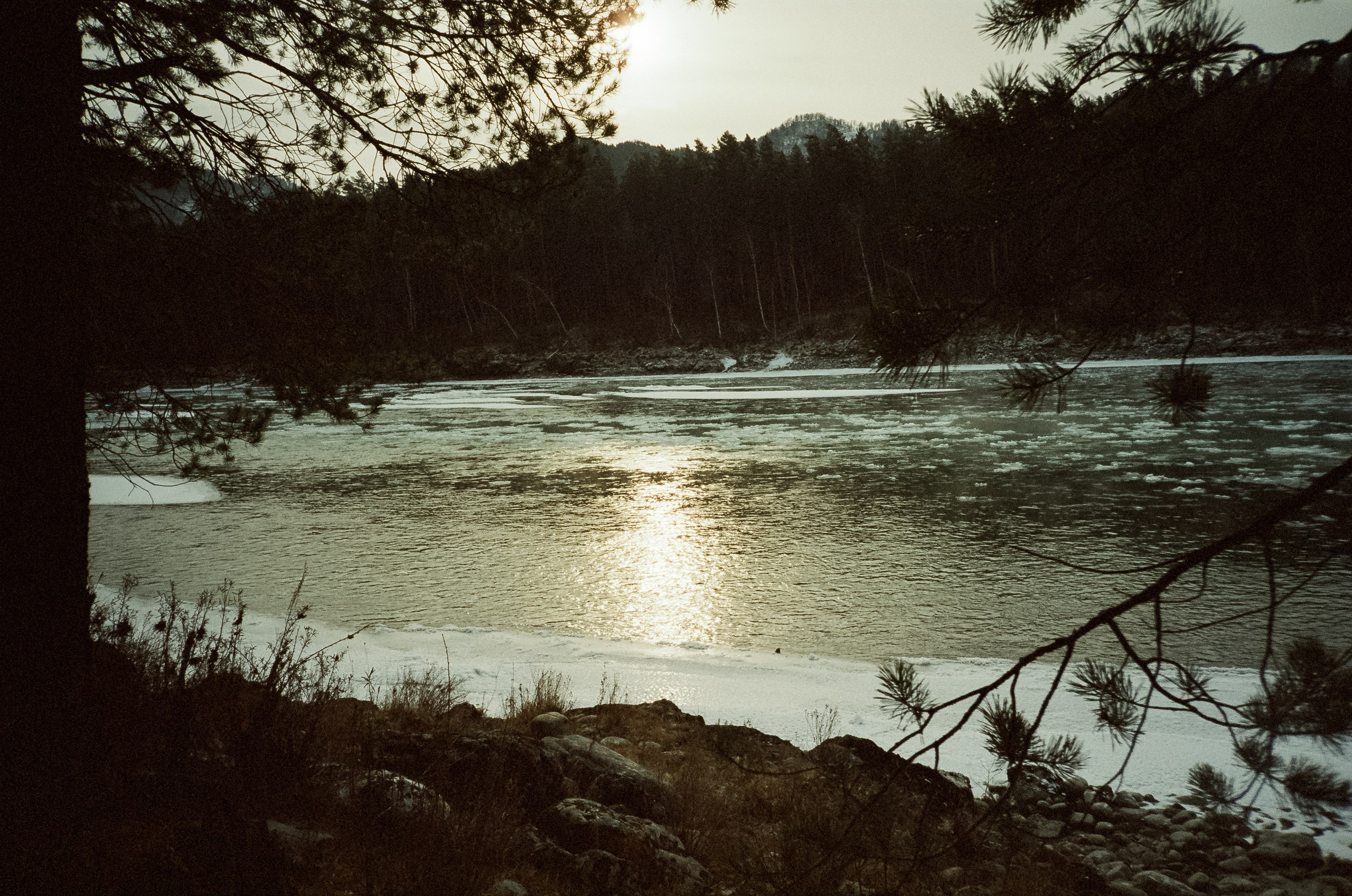 Дорога вдоль горной реки Куюм и локации Чемальского тракта. Фотограф-документалист Мария Осокина