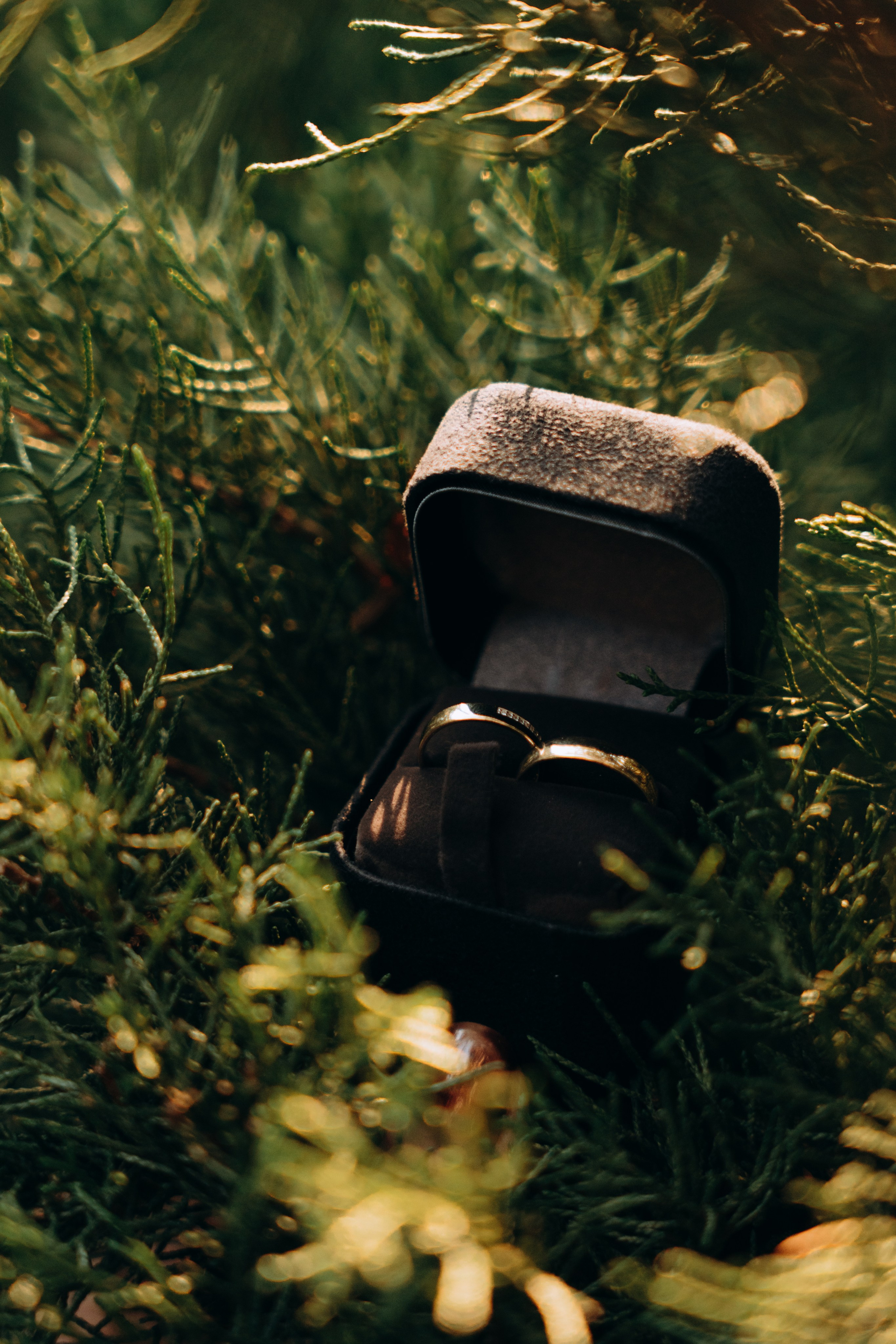 Свадебная фотосессия в симферополе. Портретный свадебный фотограф Крым | Евгения Щитенко