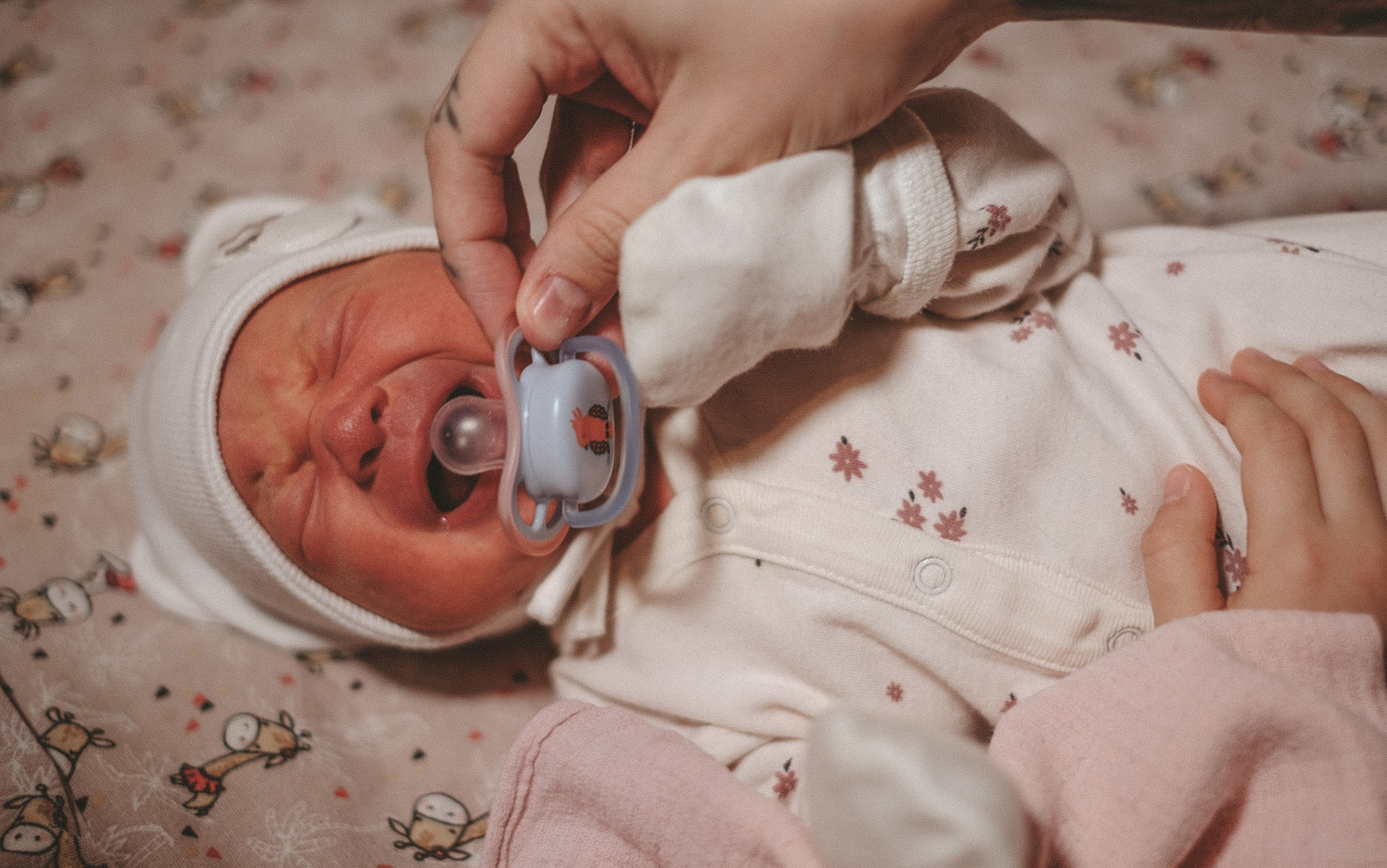 Ньюборн. Фотограф и видеограф в Москве Полина Абраменкова