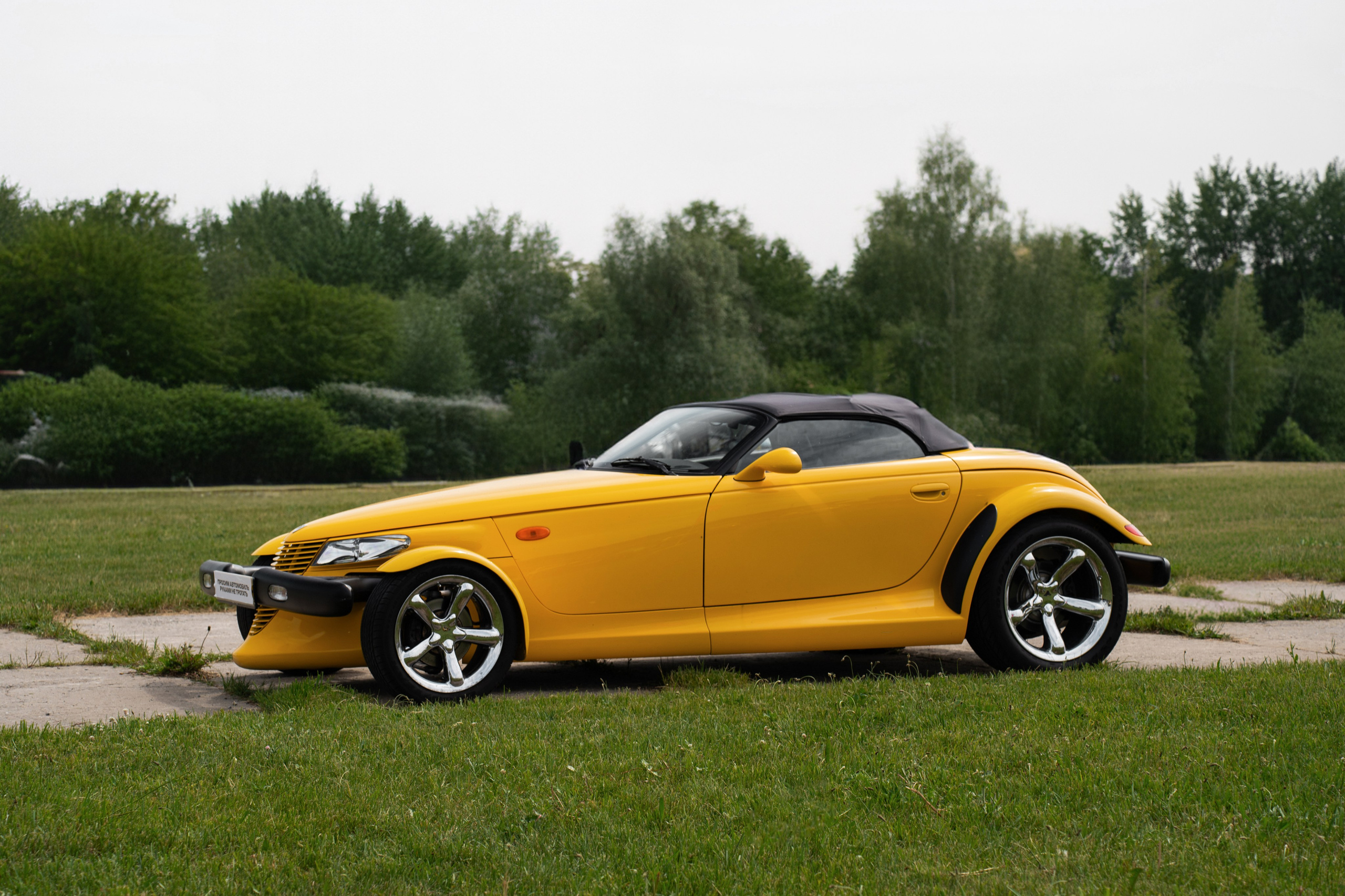 Автовыходные на Гребном канале 2024. Фотограф в Москве Ксения Насокина