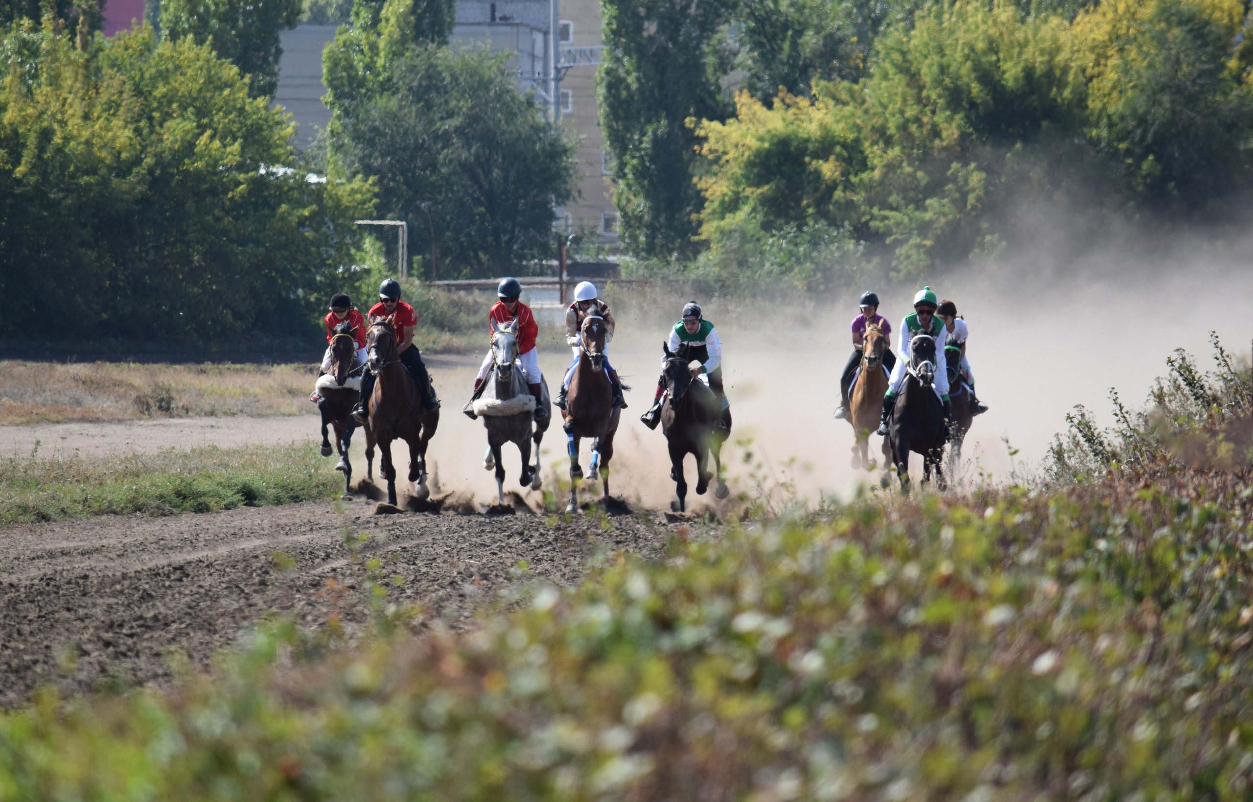 Кубок Губернатора, ипподром Саратов, 2019 г. Конный фотограф в Саратове Юлия Иванова