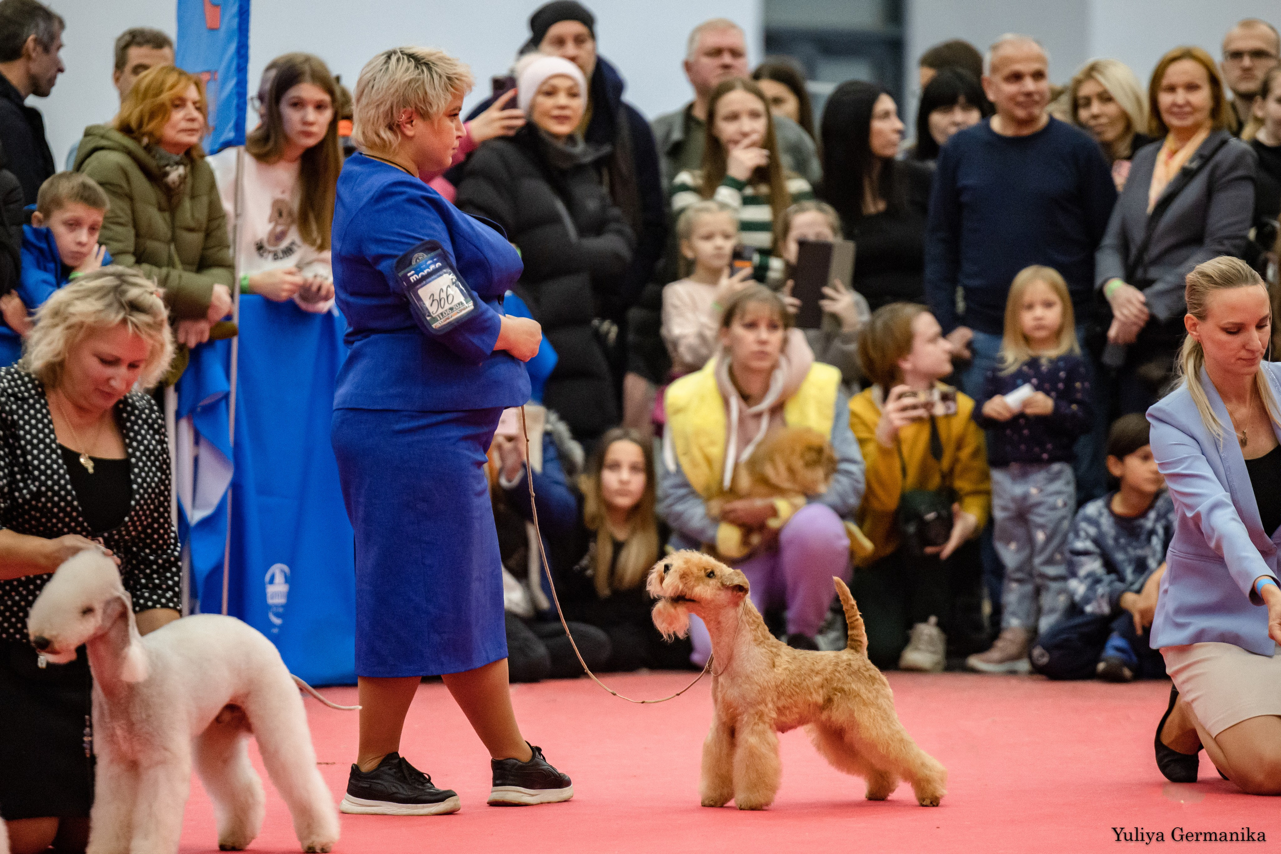 Нижний Новгород 21-22.10.2023. Фотограф-анималист Юлия Германика