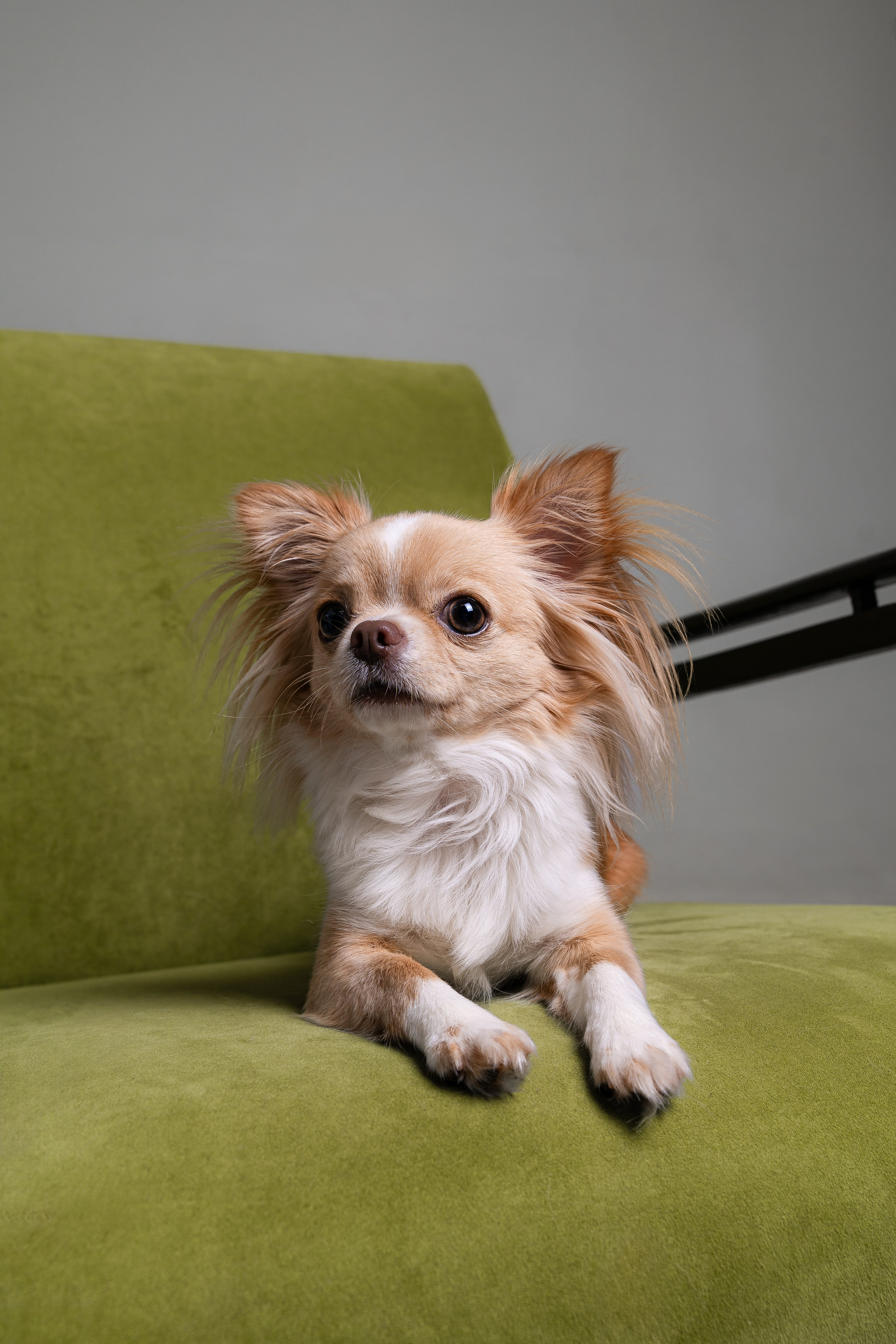 Мася: студийная история. Портретный и репортажный фотограф в Воронеже: Анастасия Пузикова