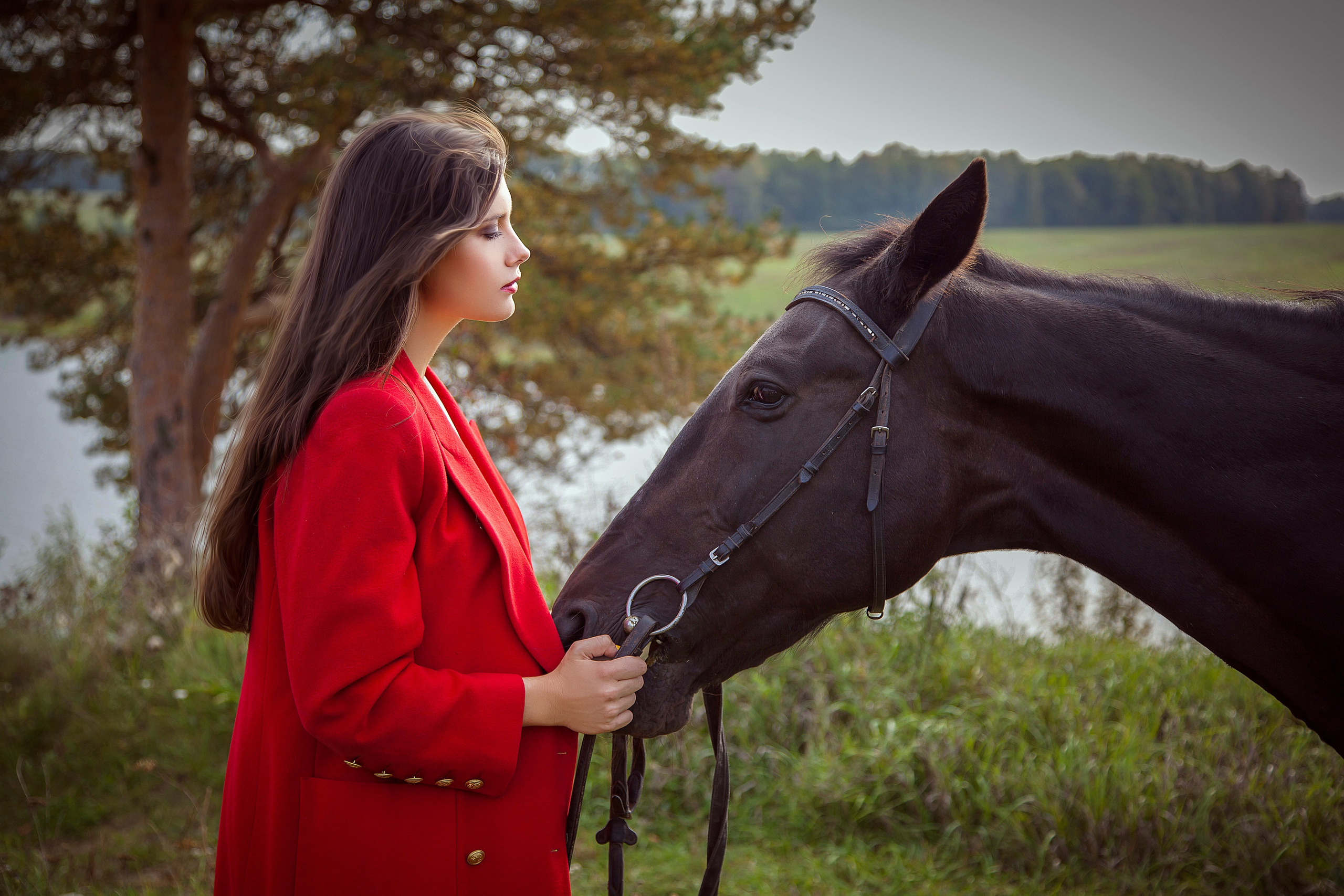 Фотосессия с лошадьми. Фотограф Мария Кольцова