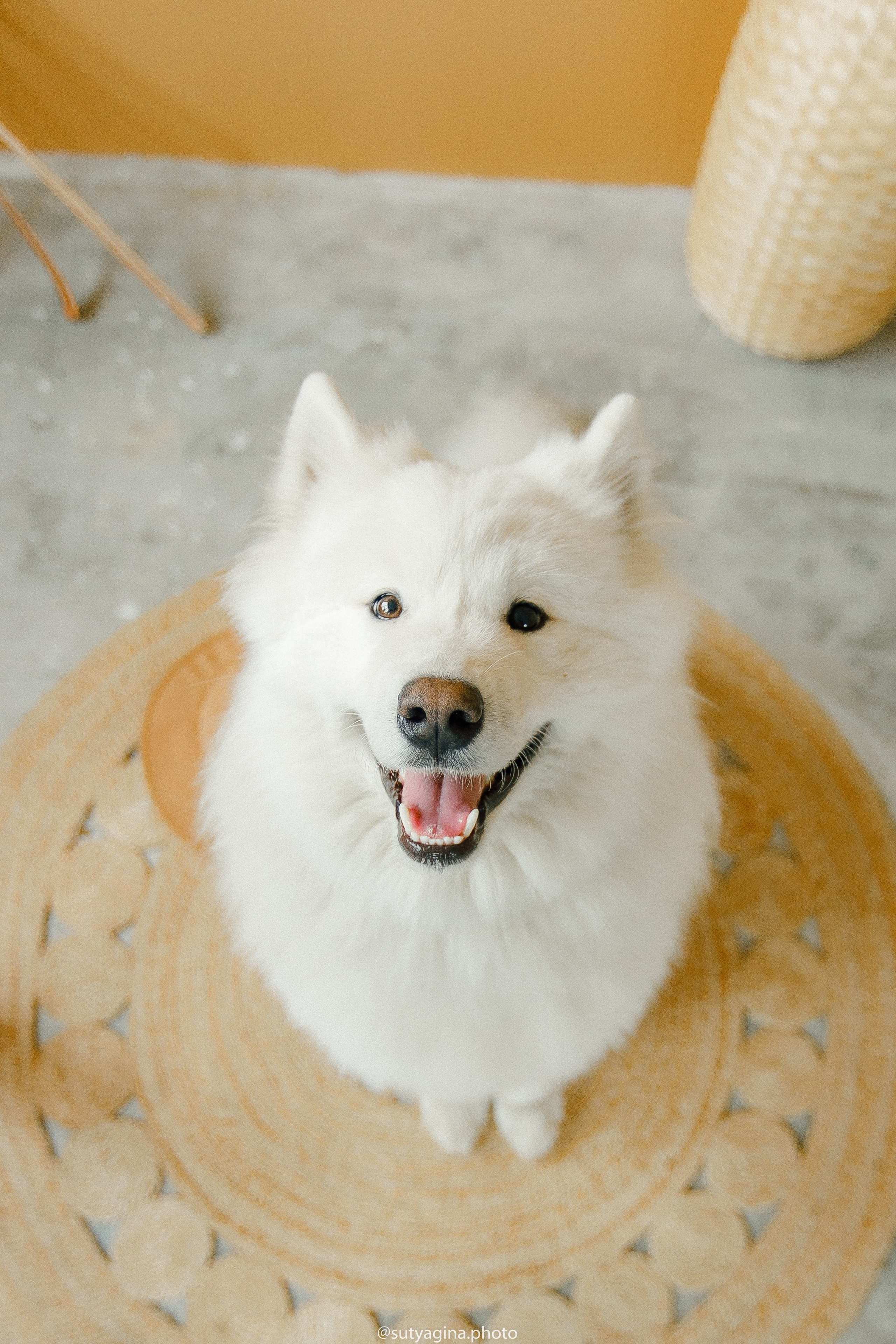 Самоед Мартин. Свадебный и женский фотограф