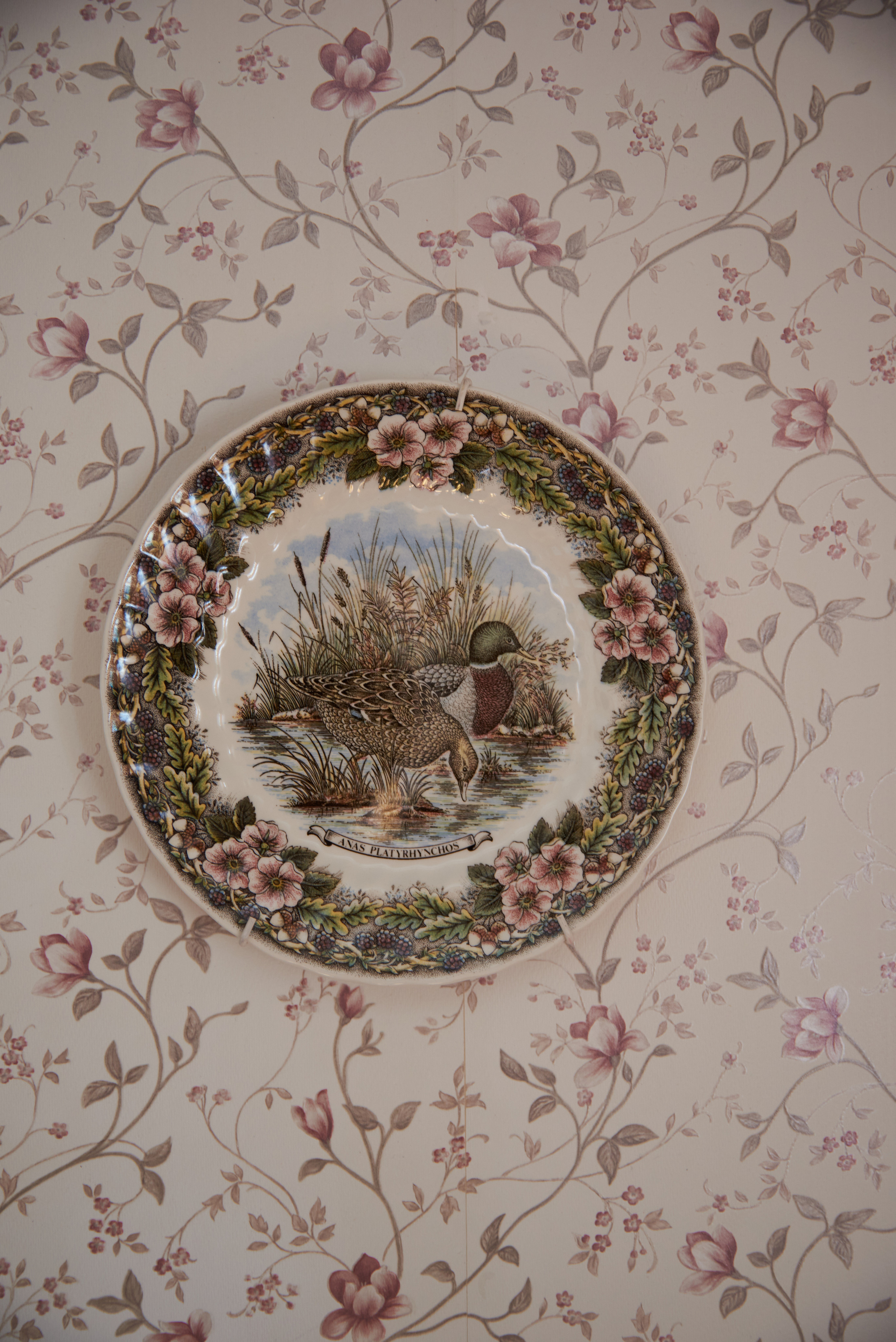 ДЕРЕВНЯ МАНДРОГИ. Интерьерный и архитектурный фотограф в Сочи МАКСИМ КСЕНЗОВ