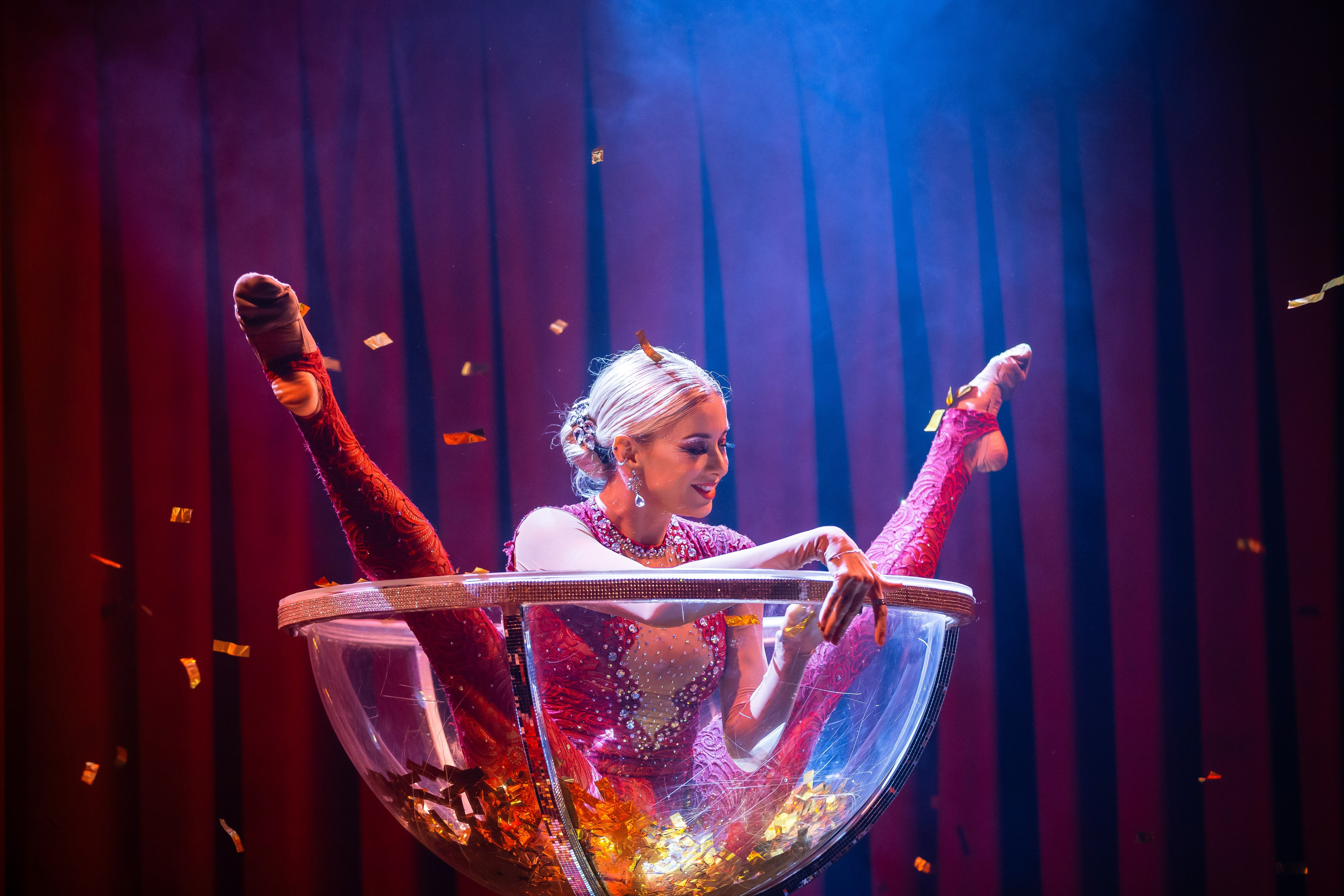 Цирковое шоу. Видеограф Добромыслов