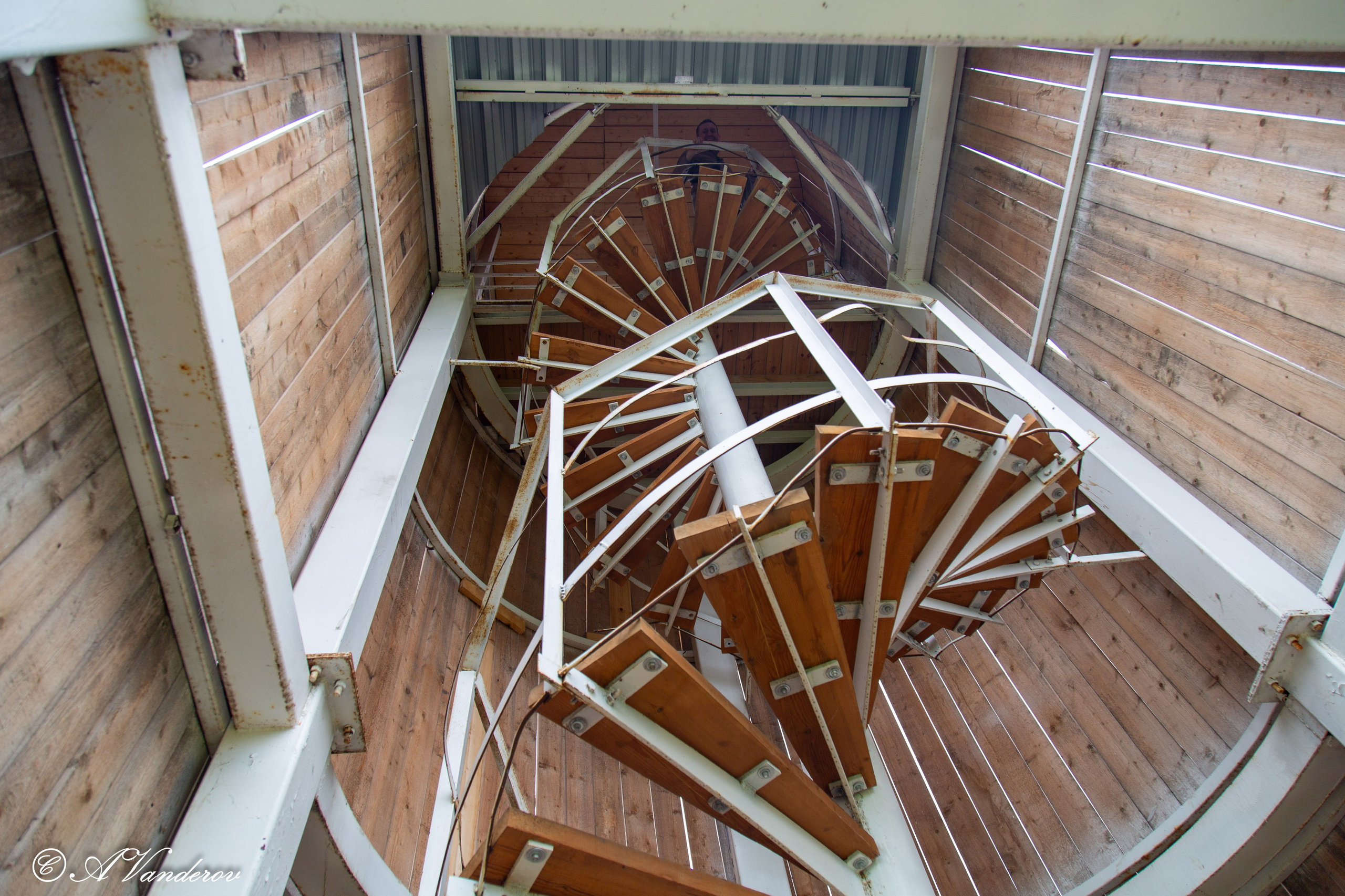 Калачинск 07.07.2024. Фотограф Омск | Александр Вандеров