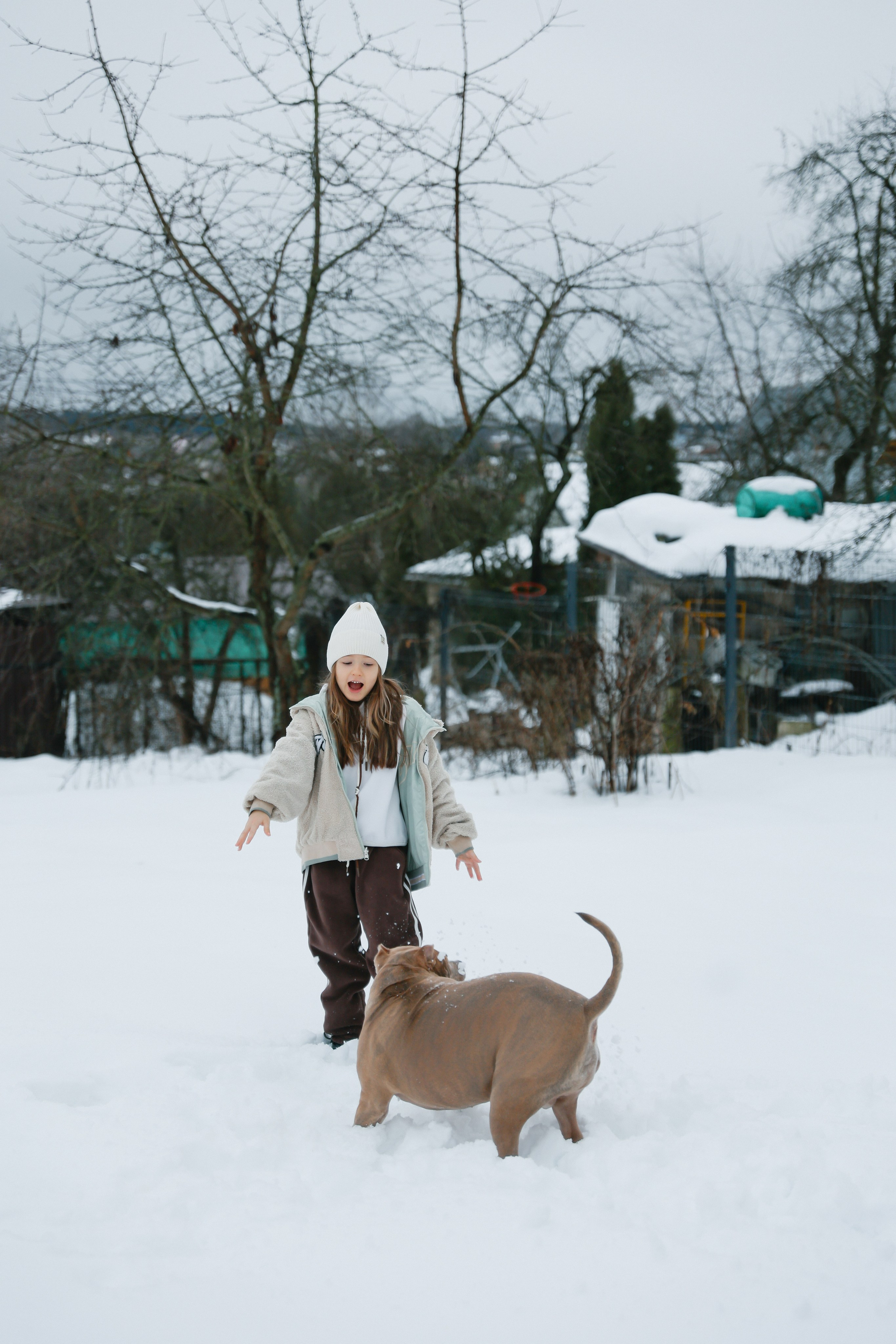 Dasha. Главная
