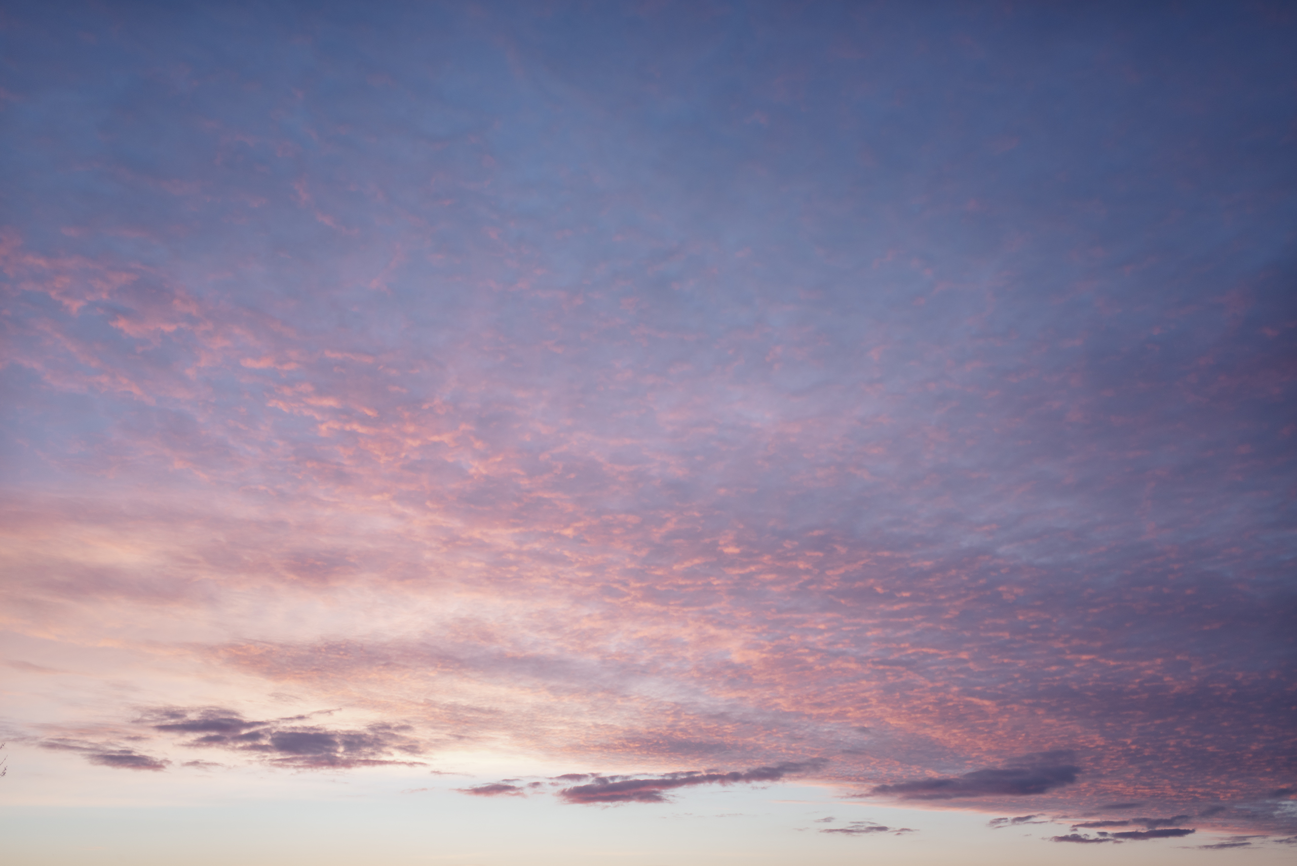 Небо видело всё. Komonev