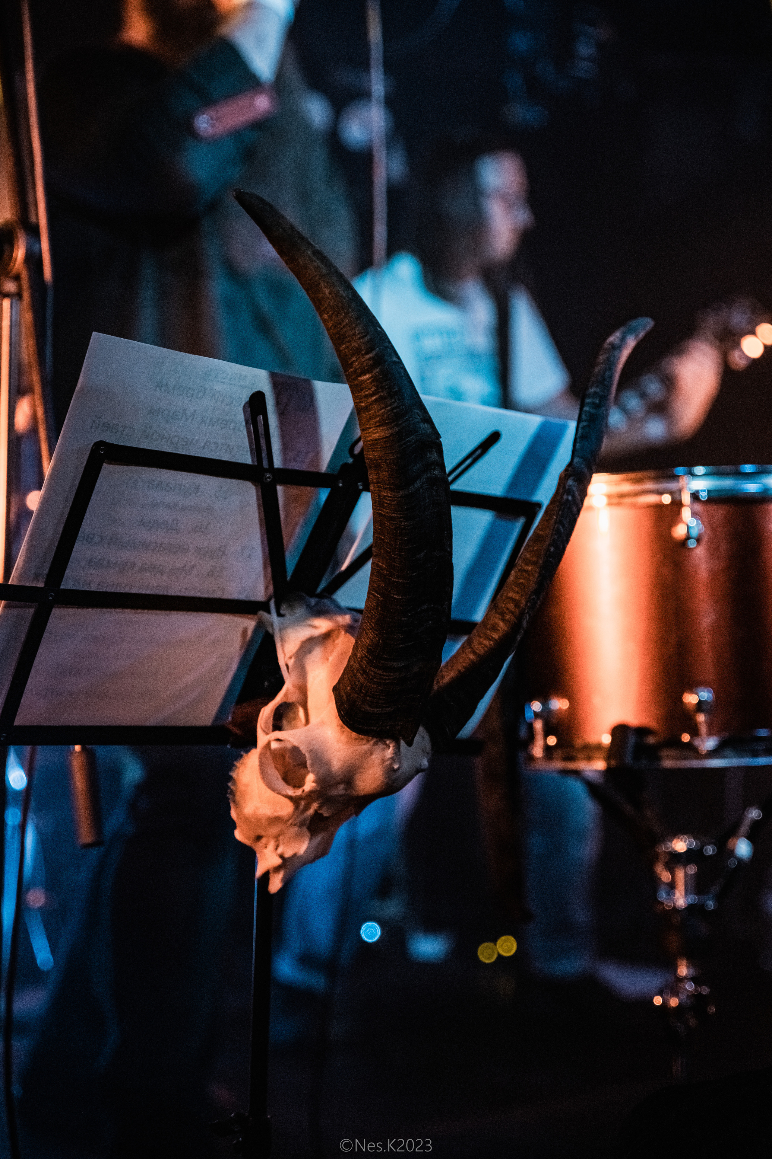 Butterfly Temple. Профессиональный фотограф в Москве и МО
