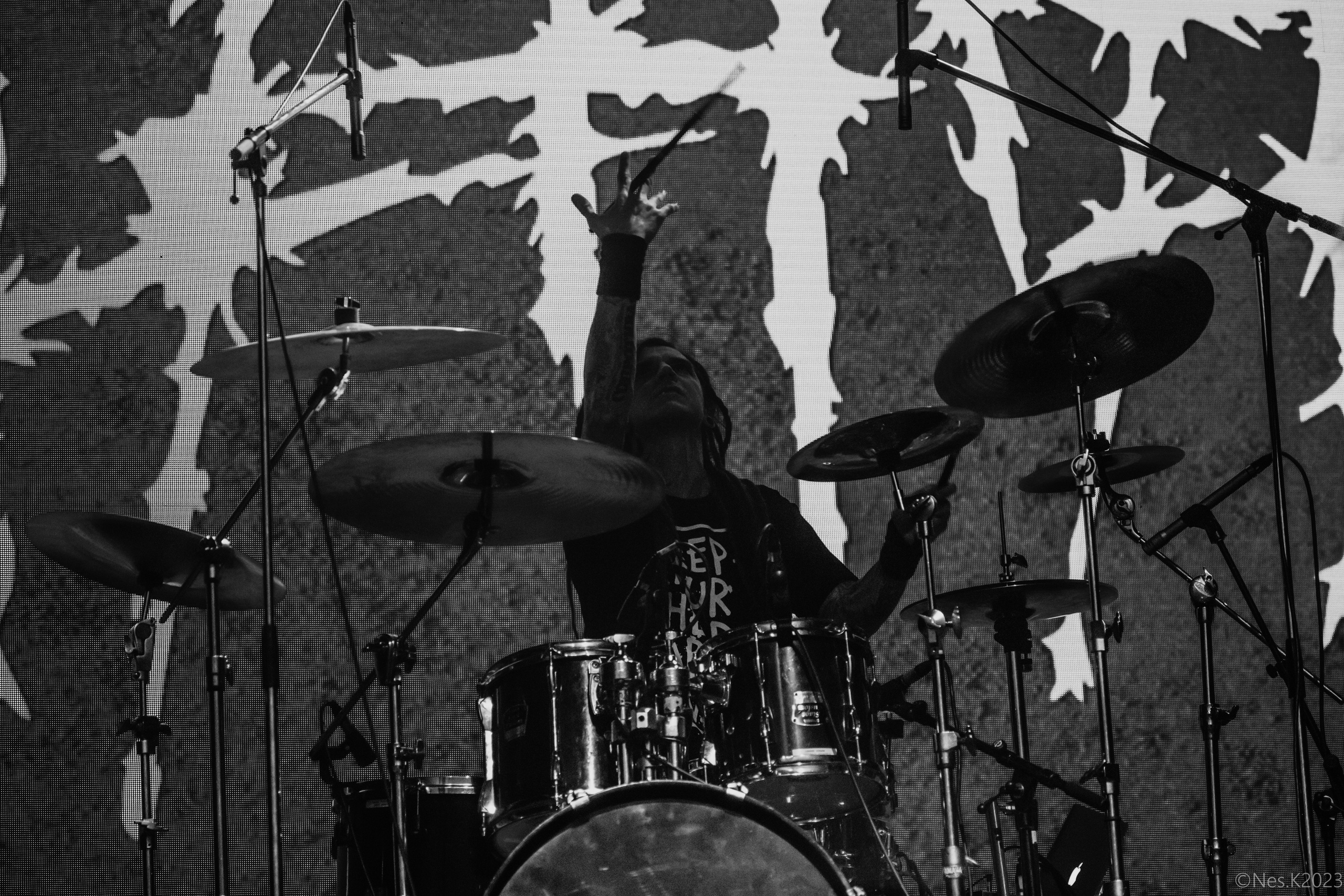 #####. Профессиональный фотограф в Москве и МО