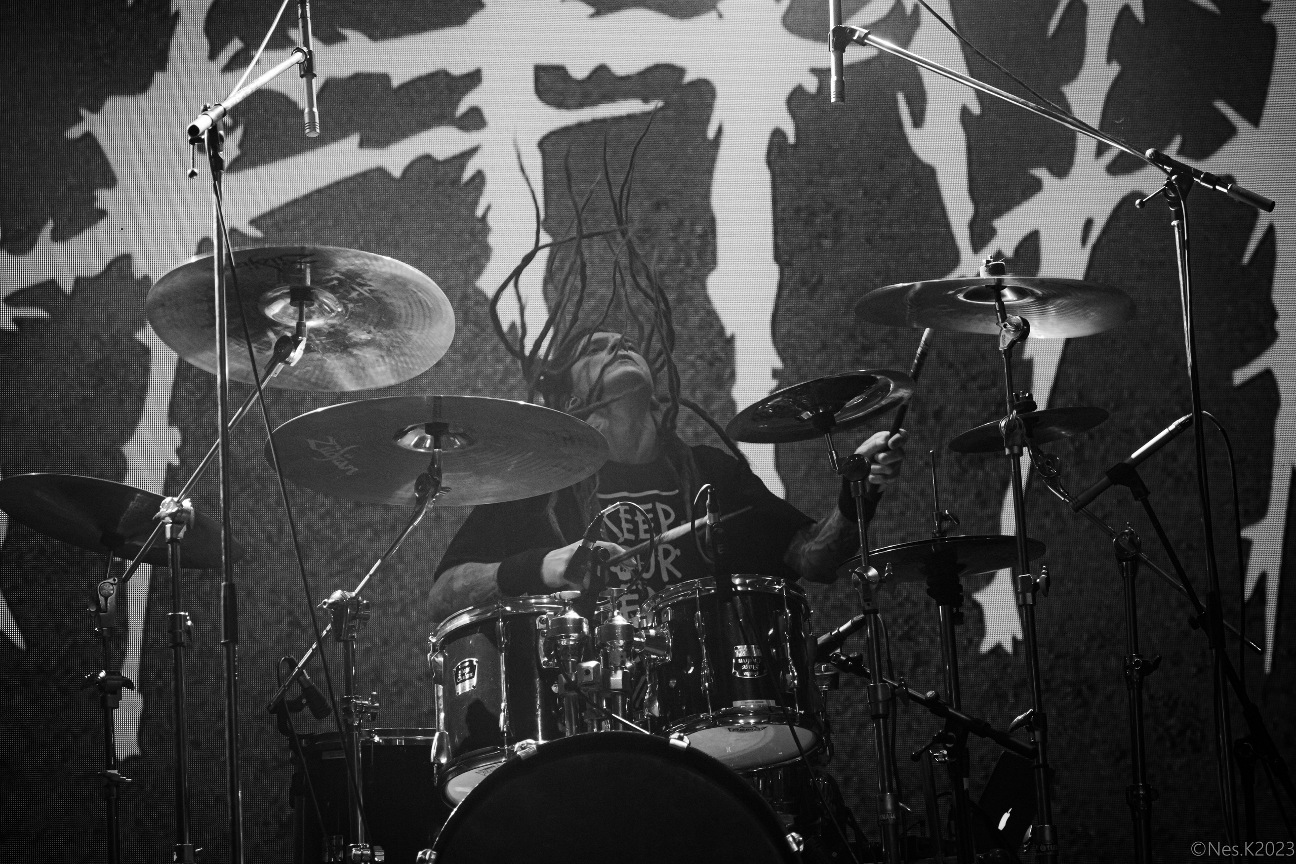 #####. Профессиональный фотограф в Москве и МО