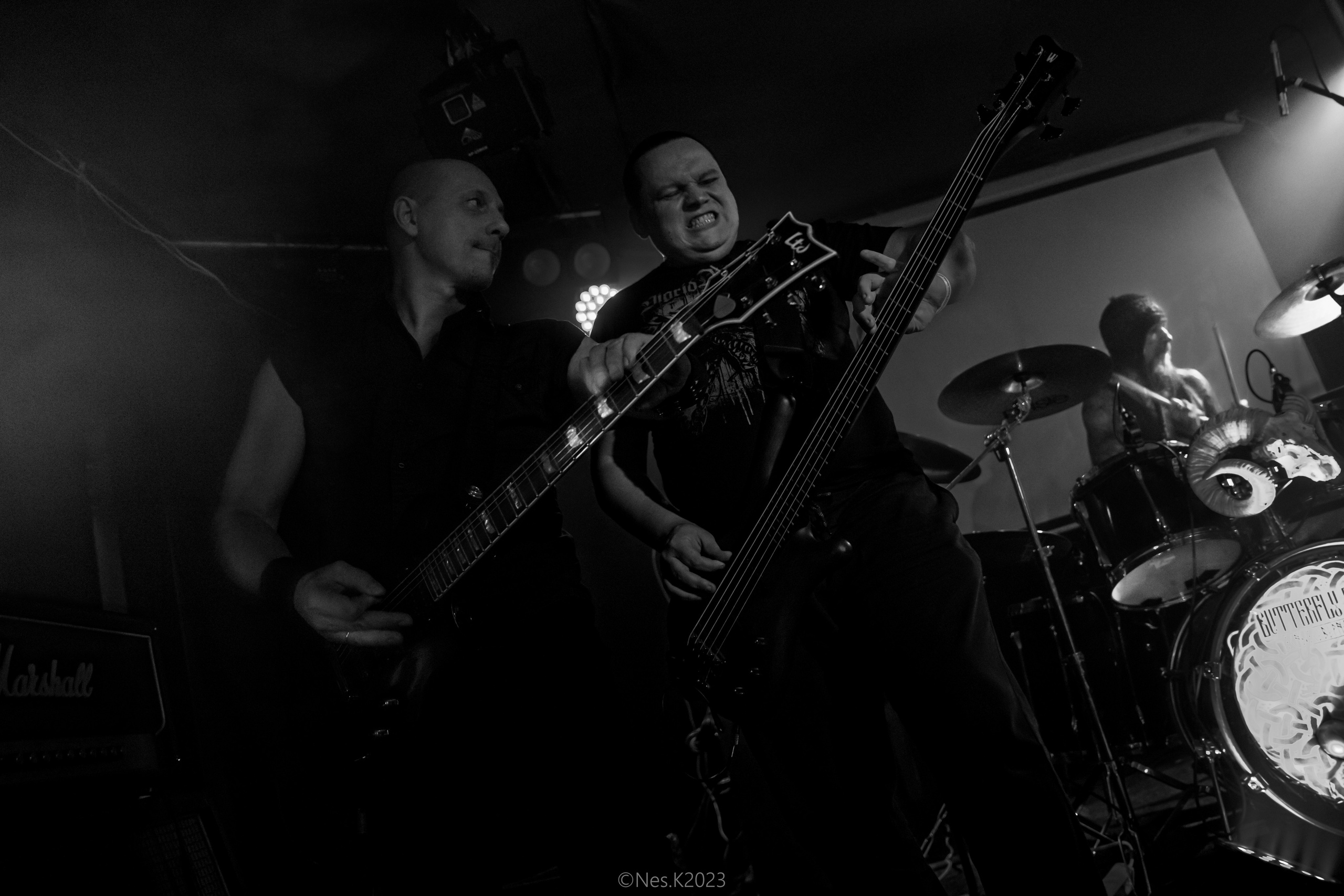 Butterfly Temple. Профессиональный фотограф в Москве и МО