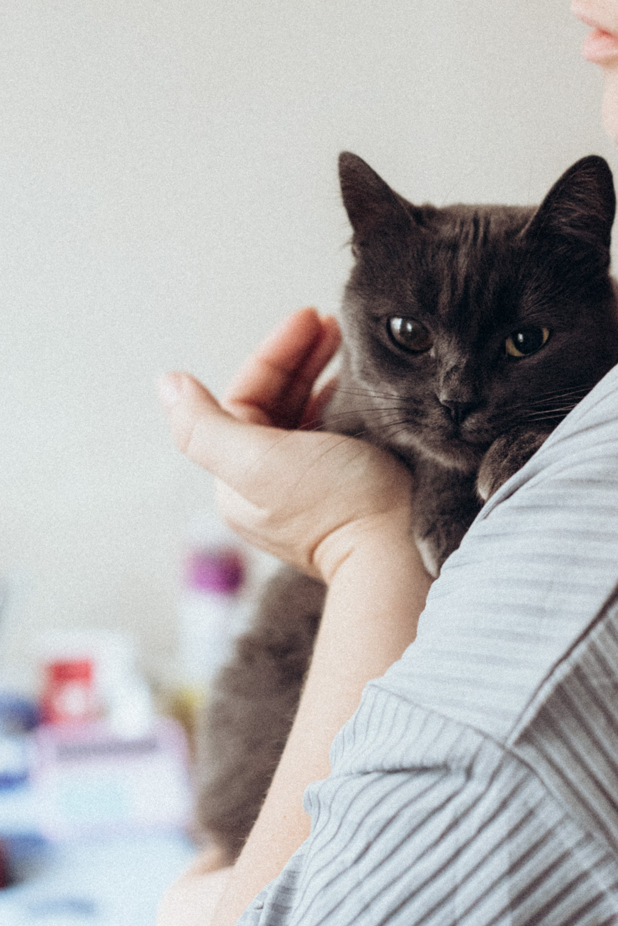 ХВОСТАТЫЕ. Дом обретенный. Детский и семейный фотограф выпускной альбом Приморско-Ахтарск