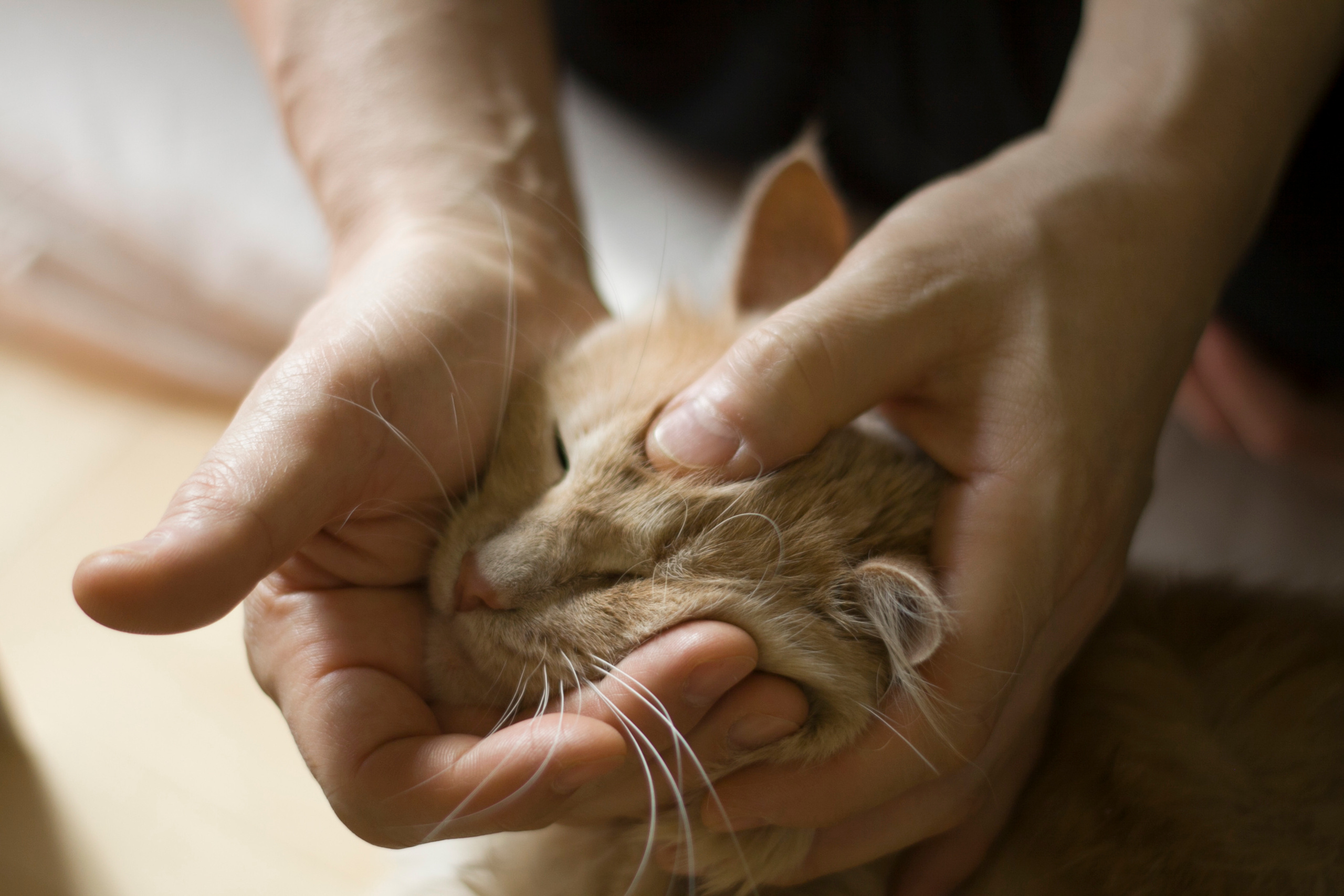 Yashu-массаж. Фотограф жизни в Ижевске Виктория Аксючиц
