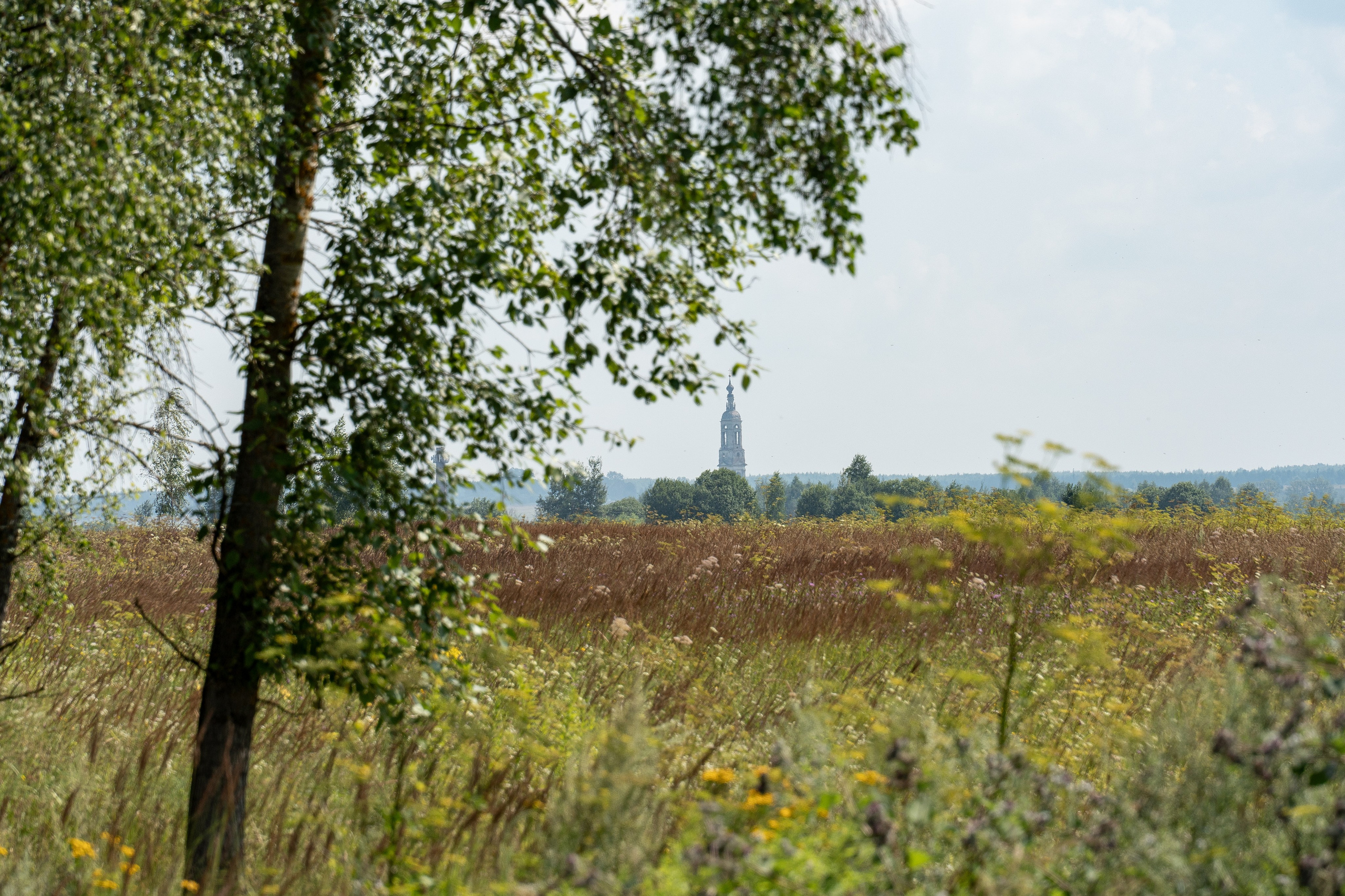 20250729-30 Ростов. Дмитрий Ремизов. Фотография, как хобби