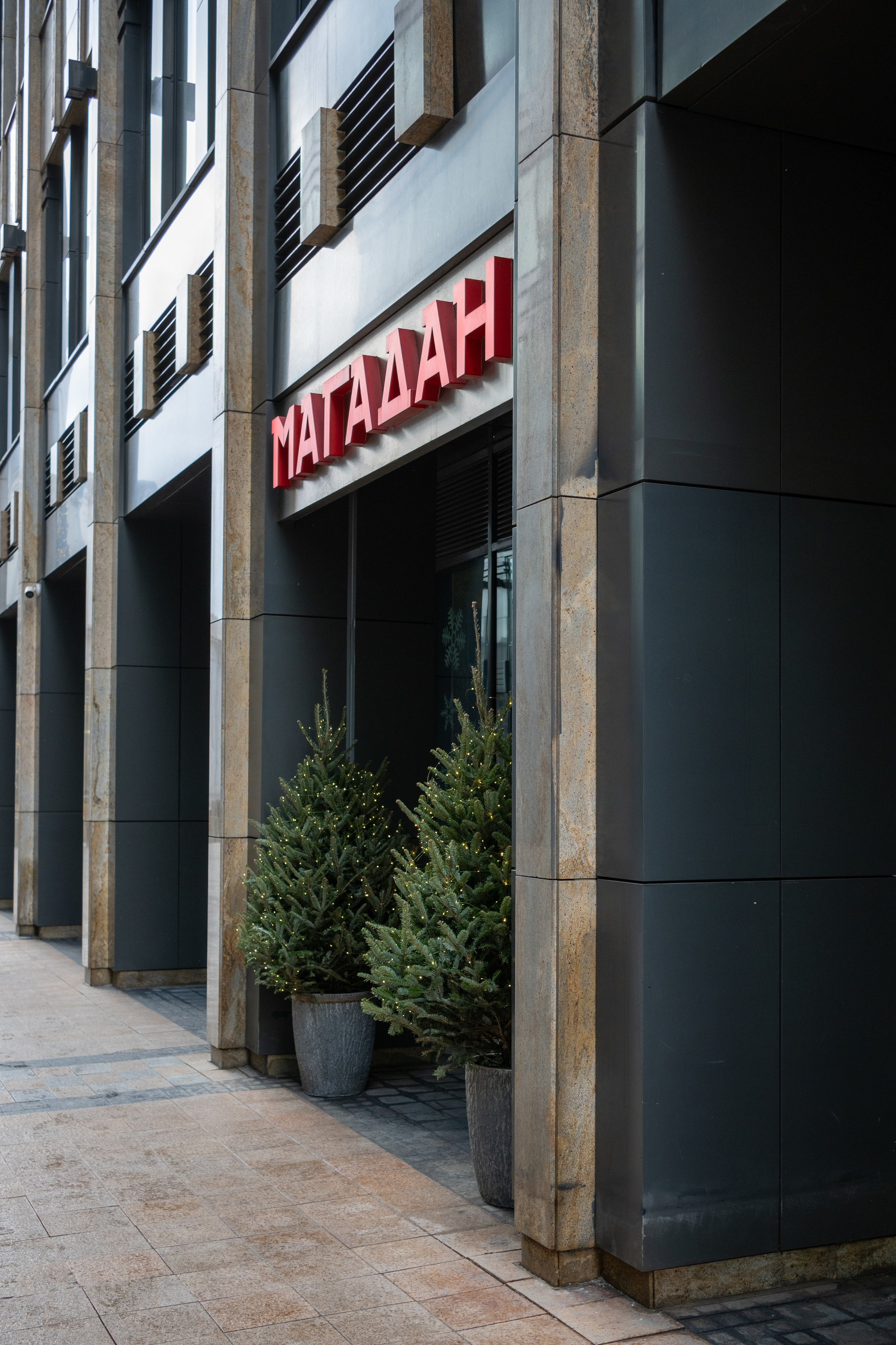 20250202 Белорусская-Охотный ряд. Дмитрий Ремизов. Фотография, как хобби