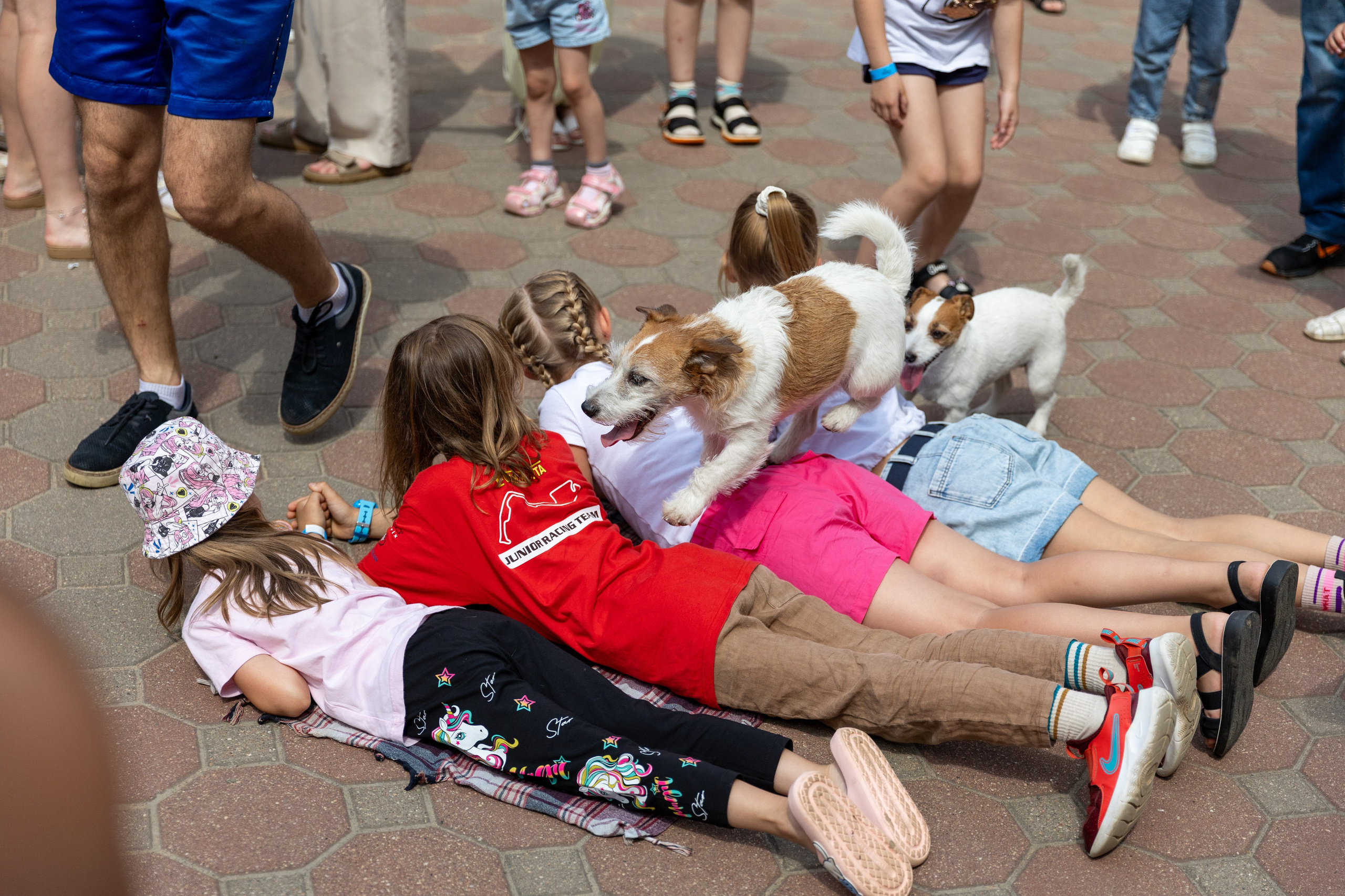 Детифест в дудутках. Профессиональный интерьерный и репортажный фотограф Минск и РБ. Максим Орлов