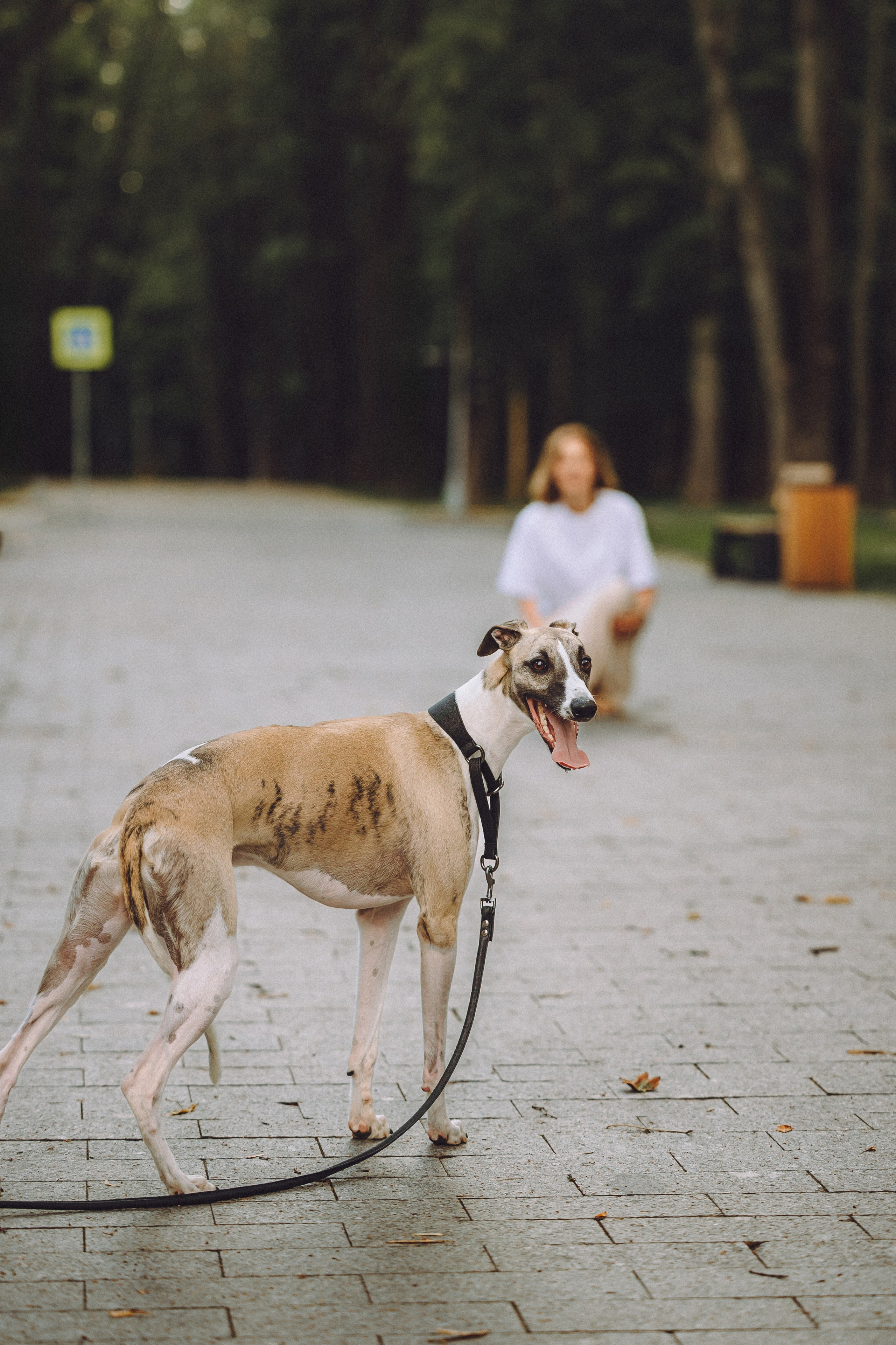 Ирина, Илья и Рик