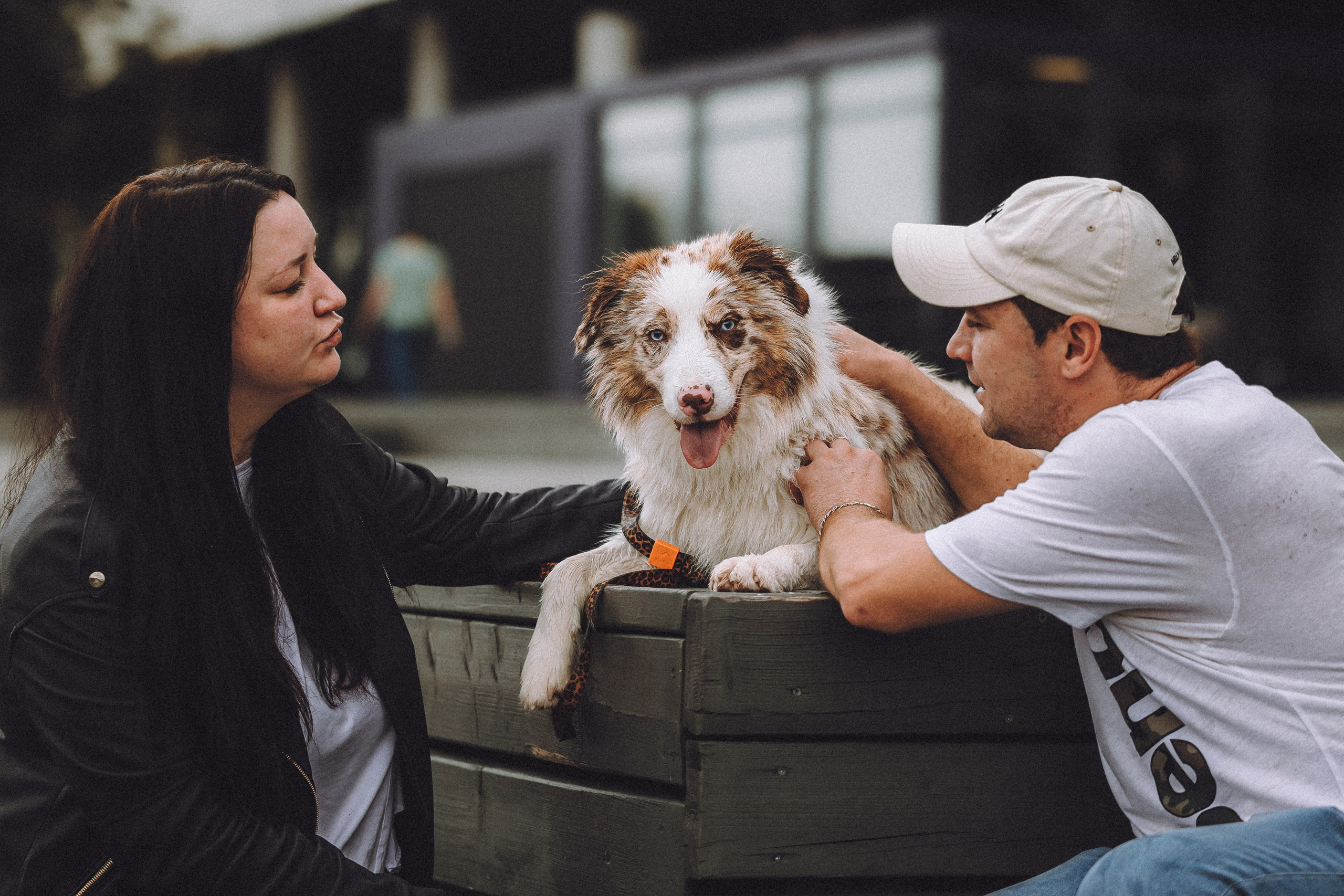 Один и его семья