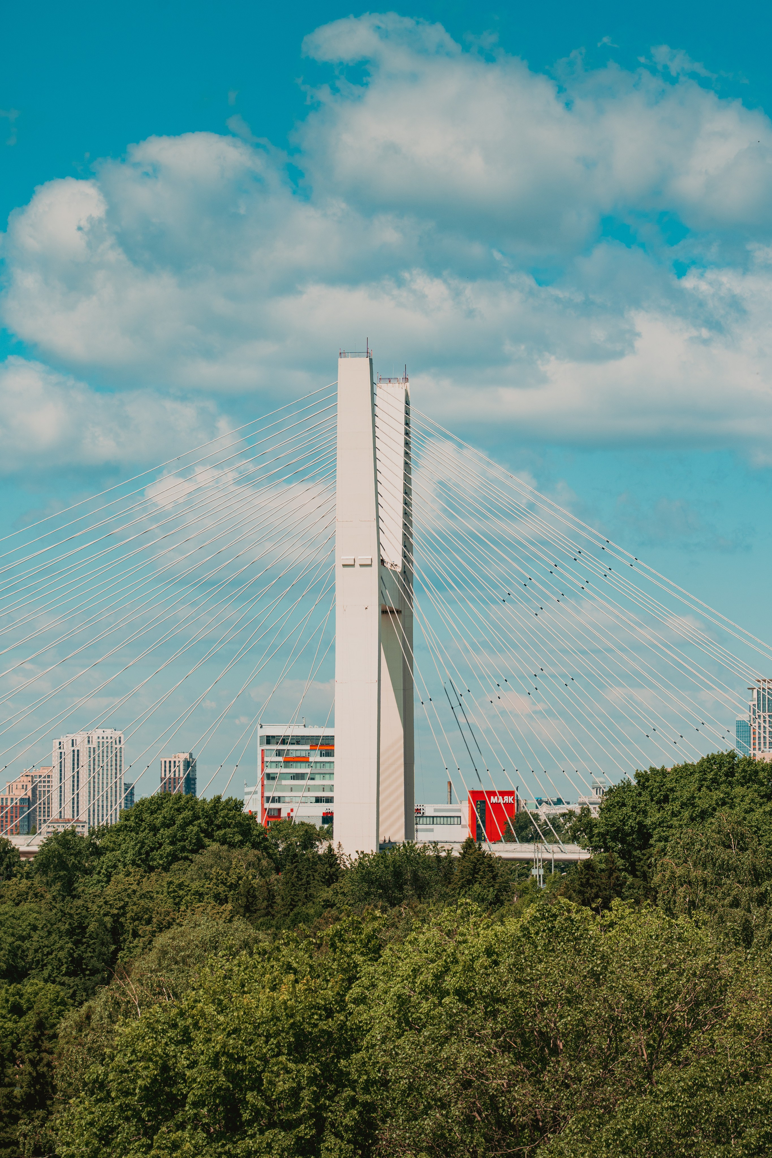 Other. Dmitry Ippolitov