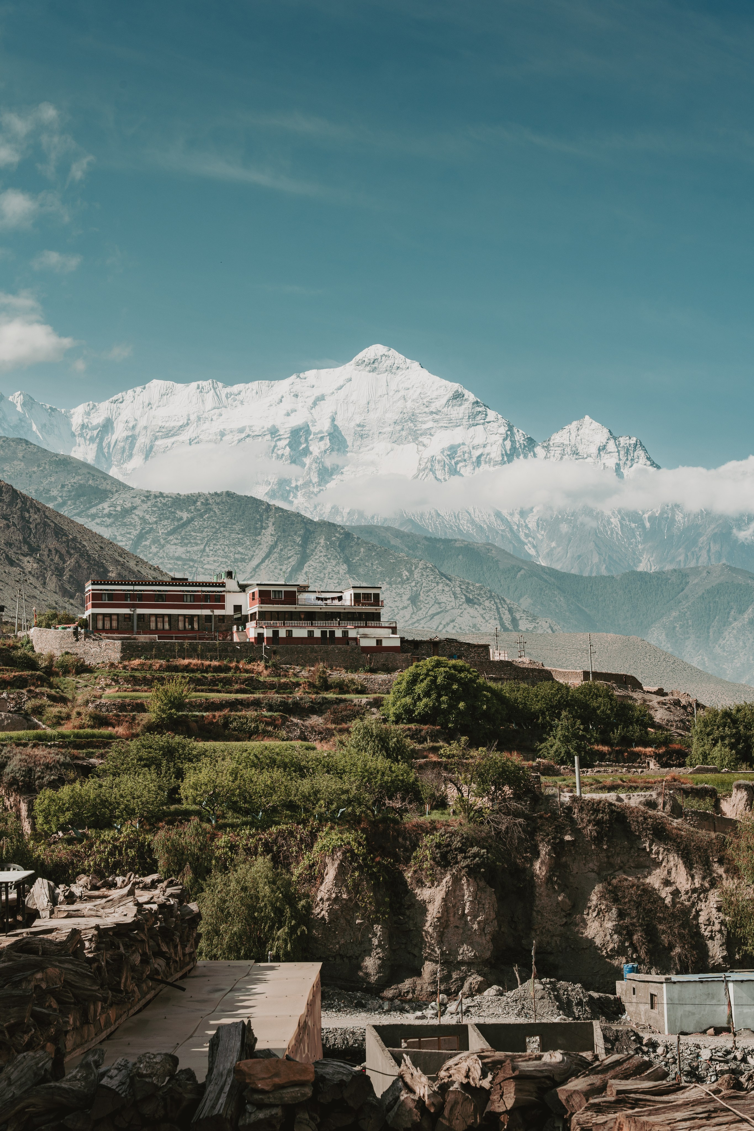 Королевство Мустанг. Dmitry Ippolitov