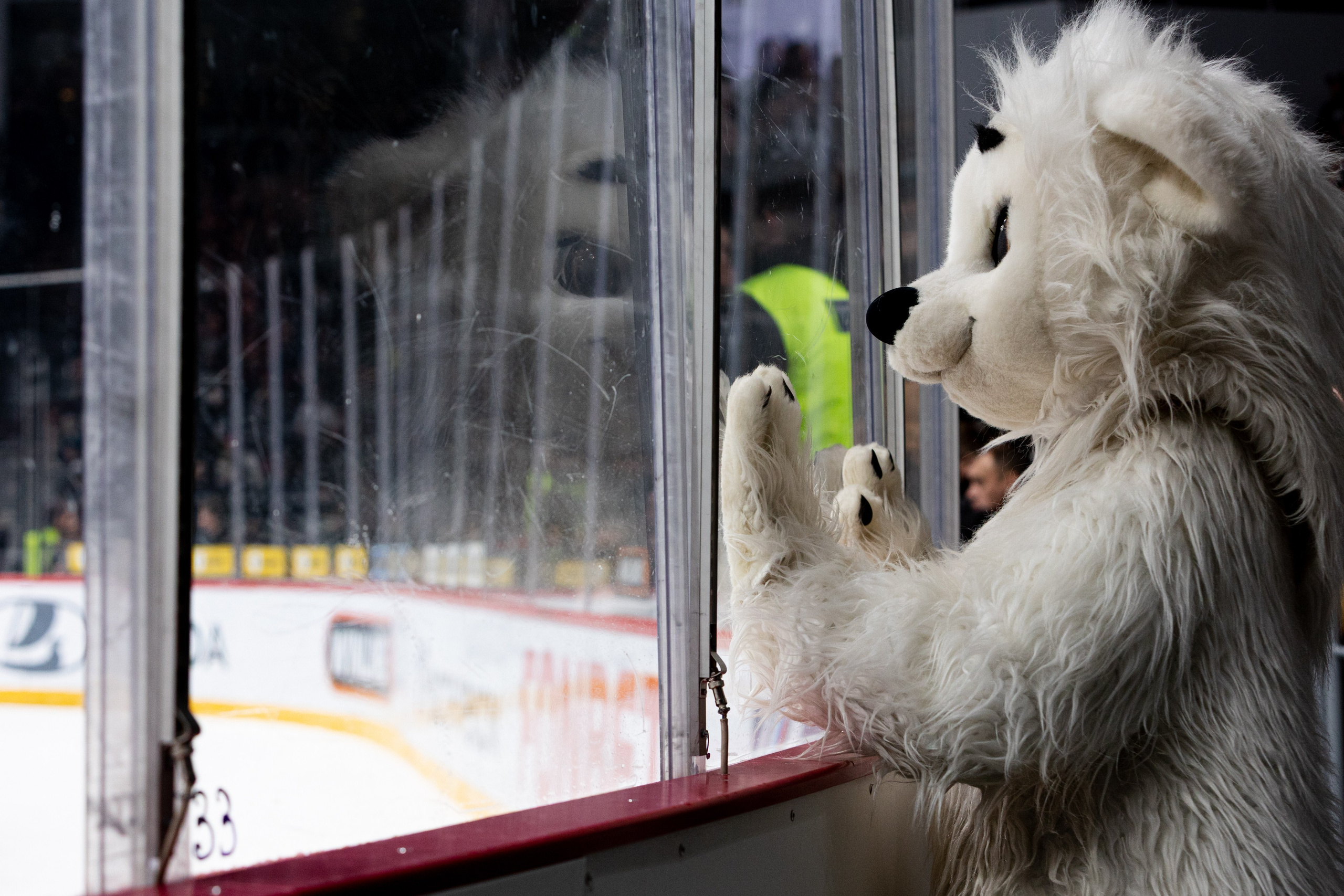 СПОРТ. Репортажный фотограф Наталья Лапцевич