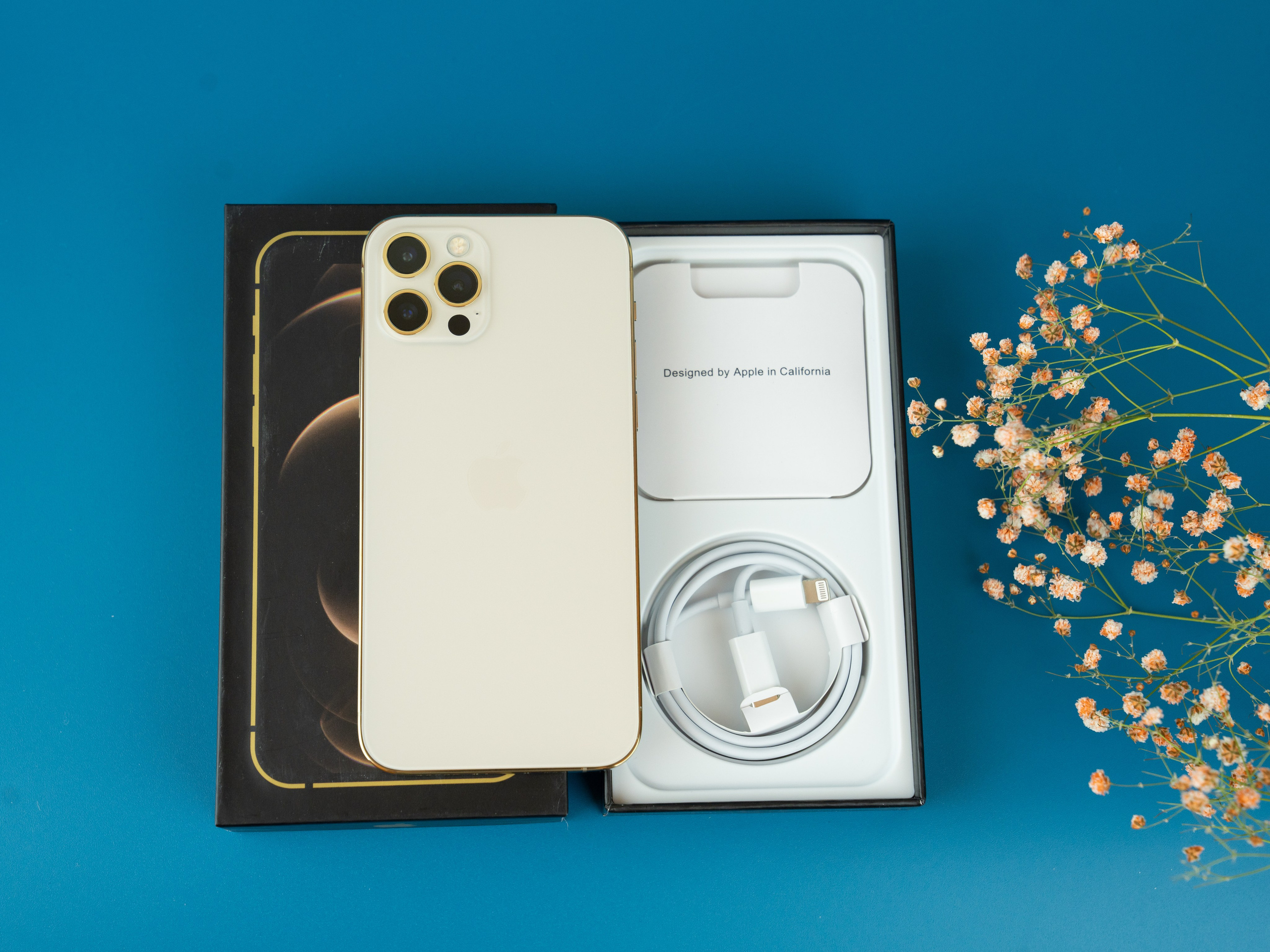 IPhone. Фотограф в Санкт-Петербурге Мария Александрова