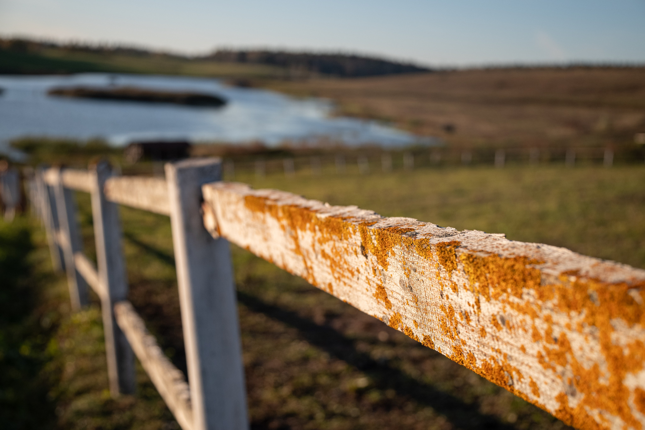 Корпоратив и оформление фотозоны в стиле ранчо). Фотограф Светлана Воронцова
