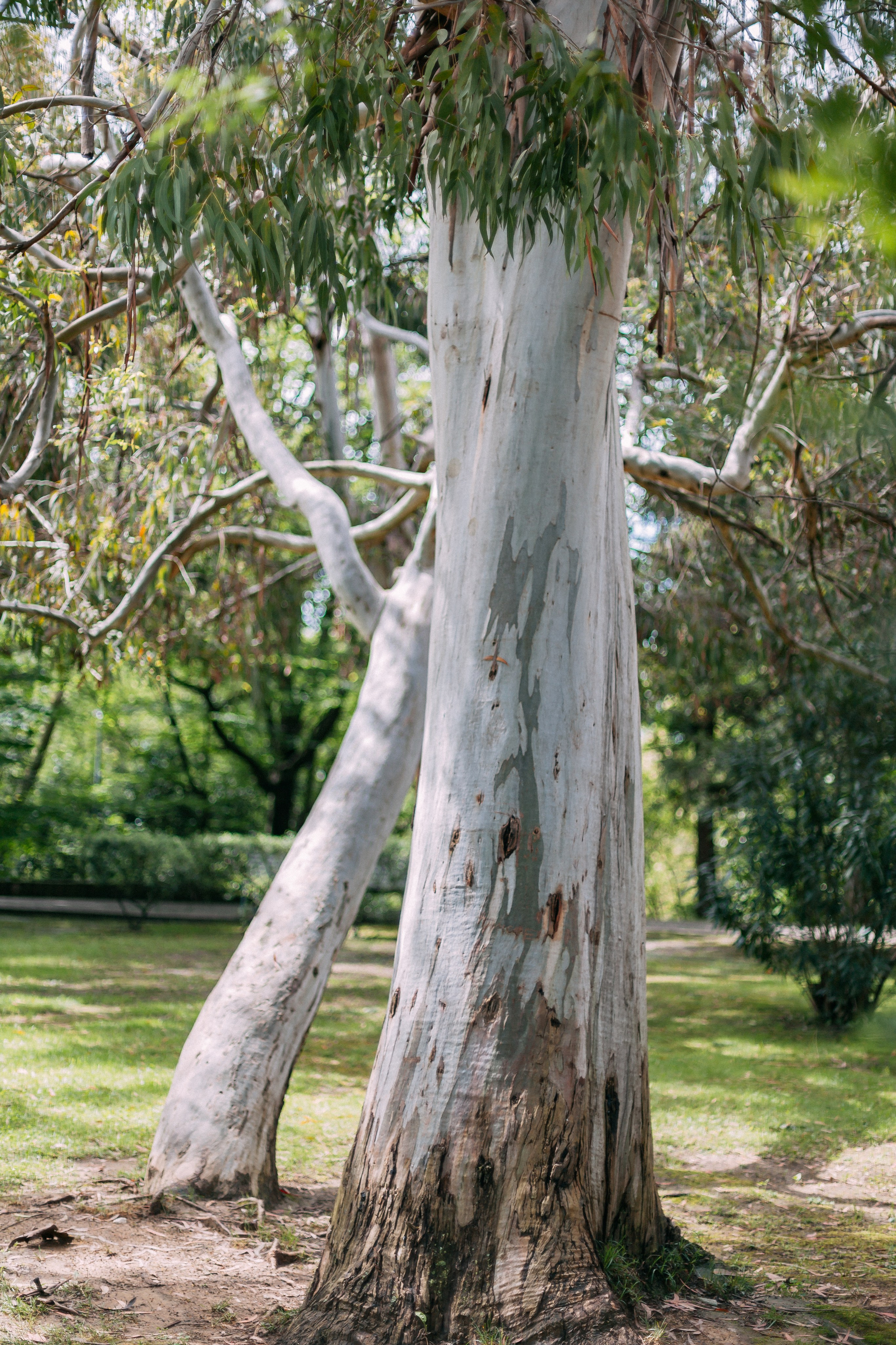 Сочи. Аня Степанова