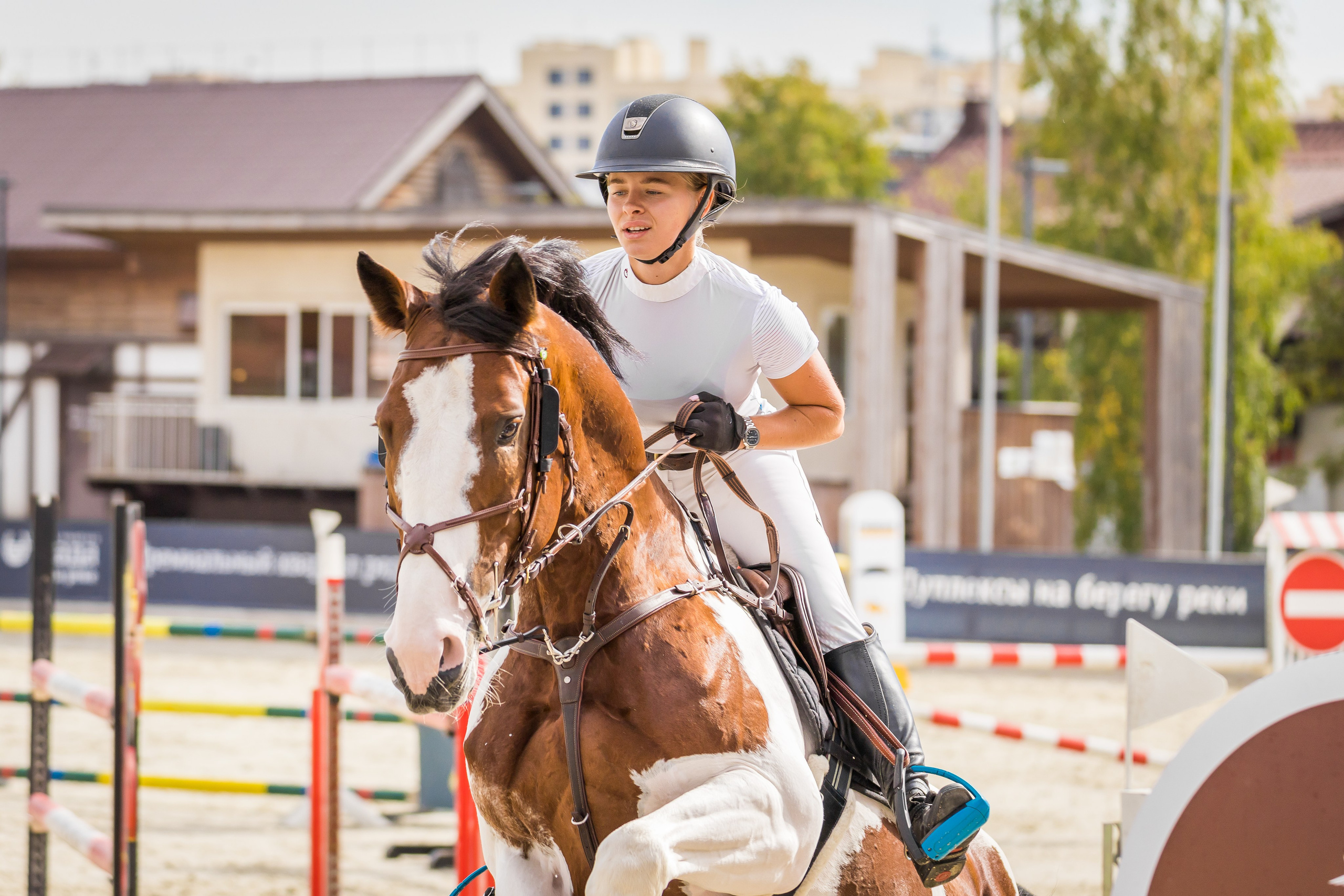 Конный спорт. Photomantis