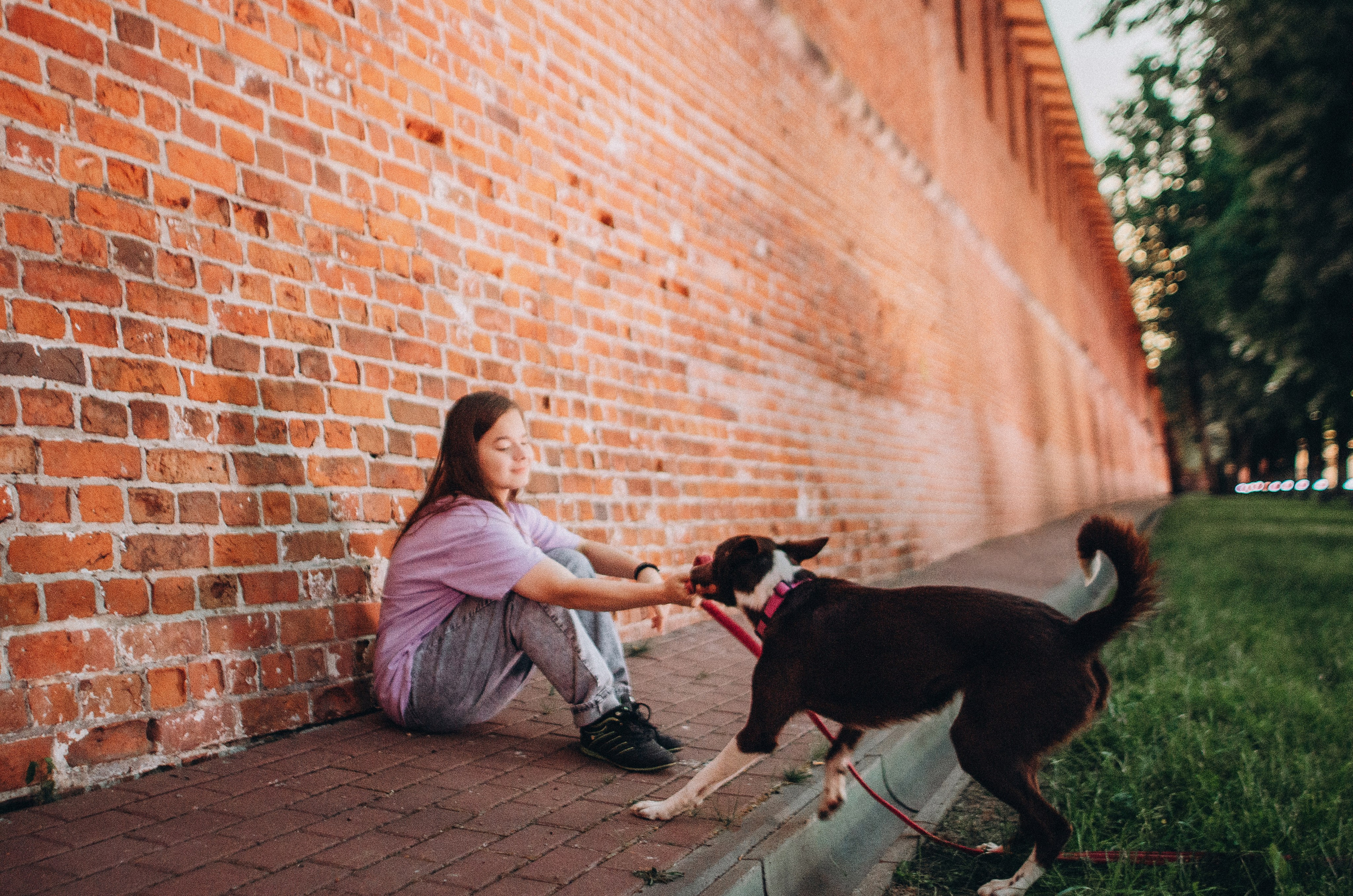 Вика и Эсса. Фотограф-анималист Богданова Полина