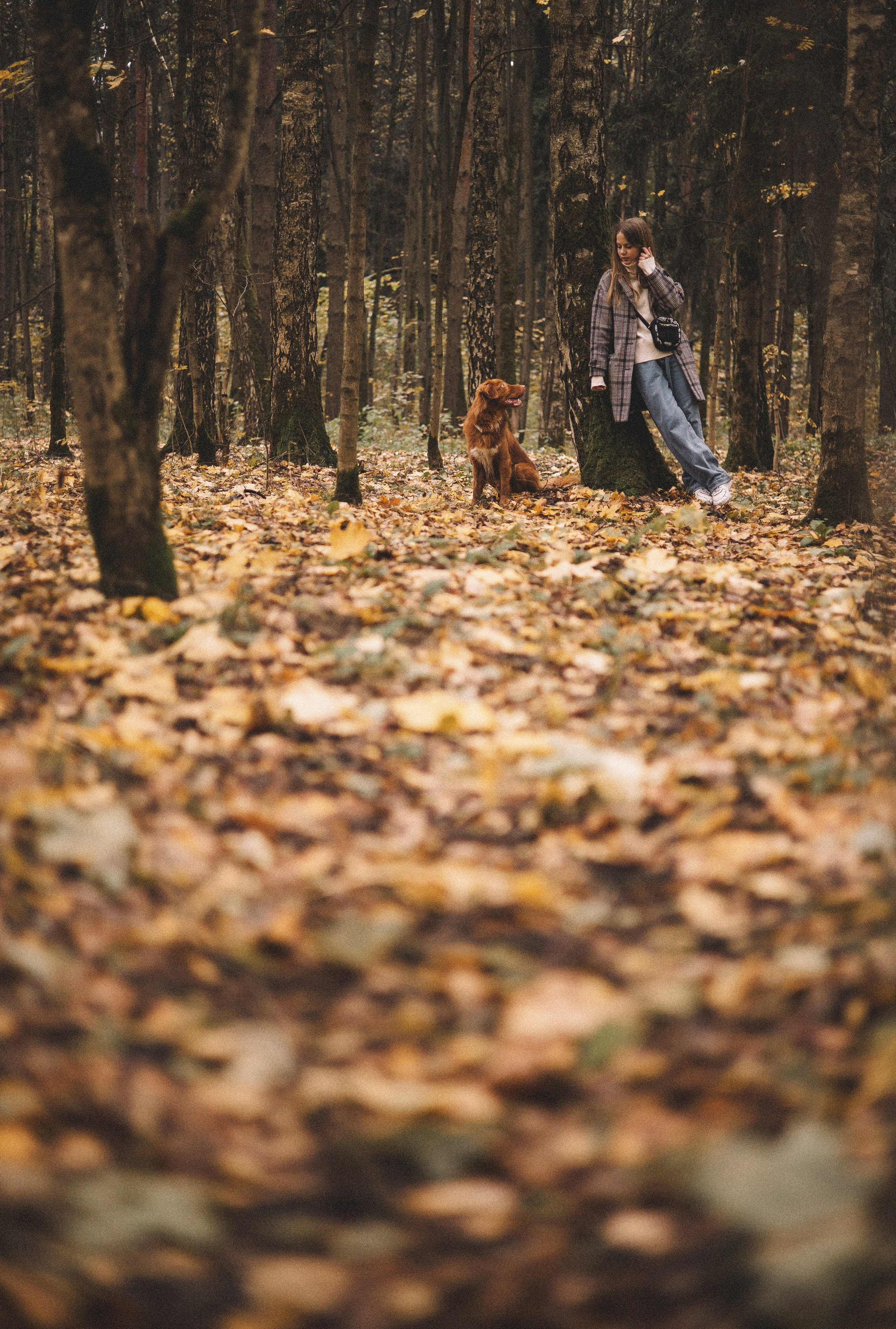 Алина и Бис. Фотограф-анималист Богданова Полина
