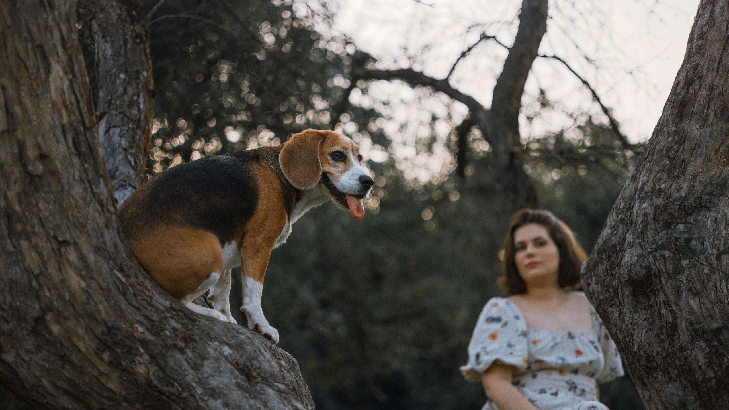 Лиза и Сара. Фотограф-анималист Богданова Полина