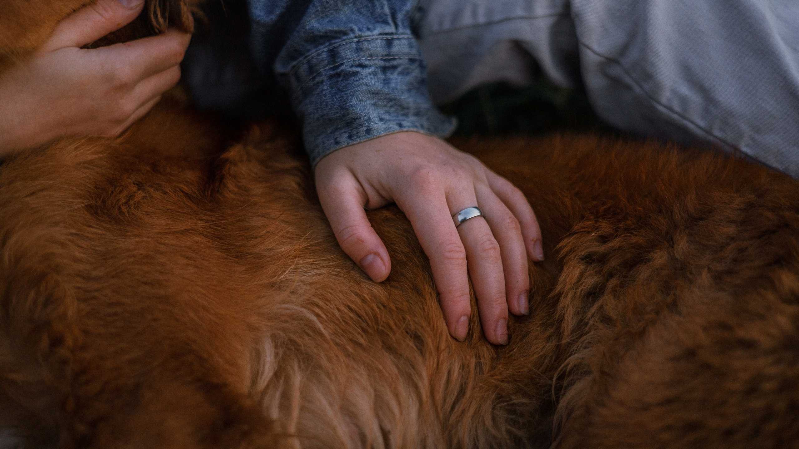 Ксюша и Мэди. Фотограф-анималист Богданова Полина