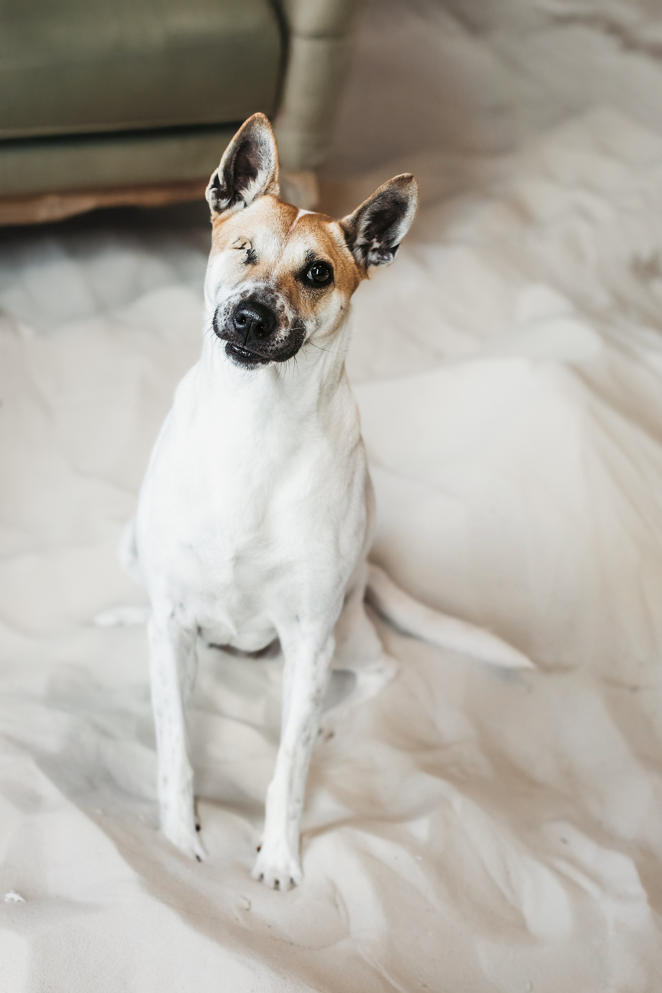 Полина и Альвильда. Фотограф-анималист Татьяна Степанова