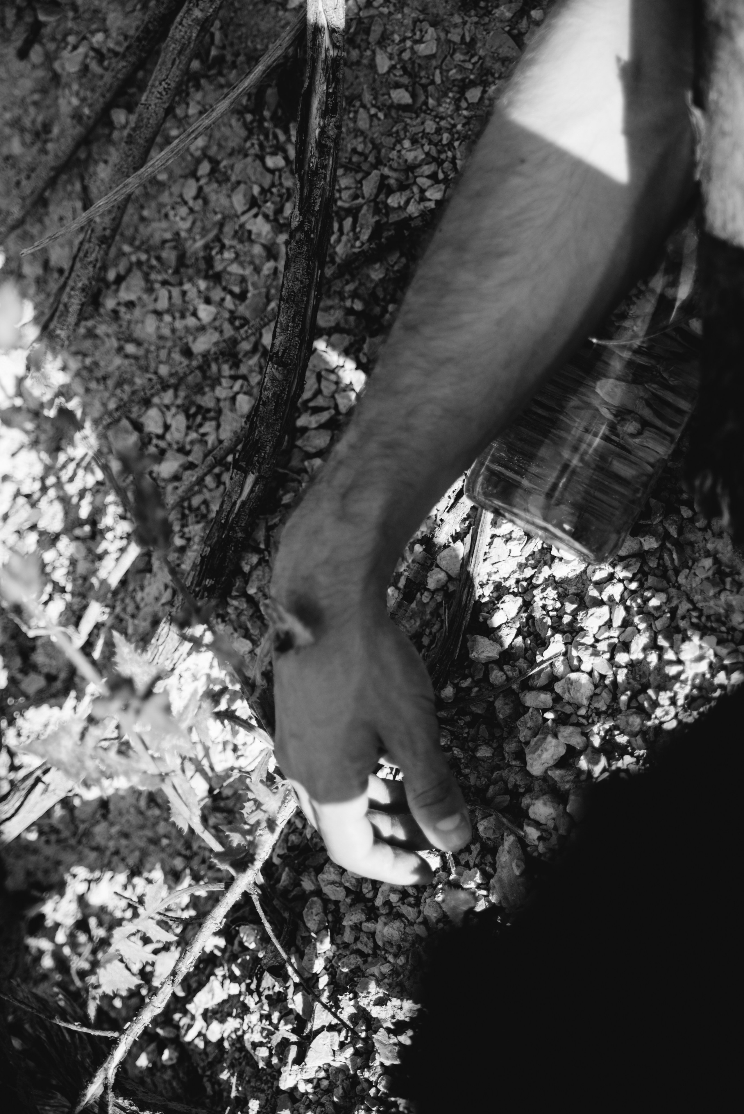 Илья. Главная