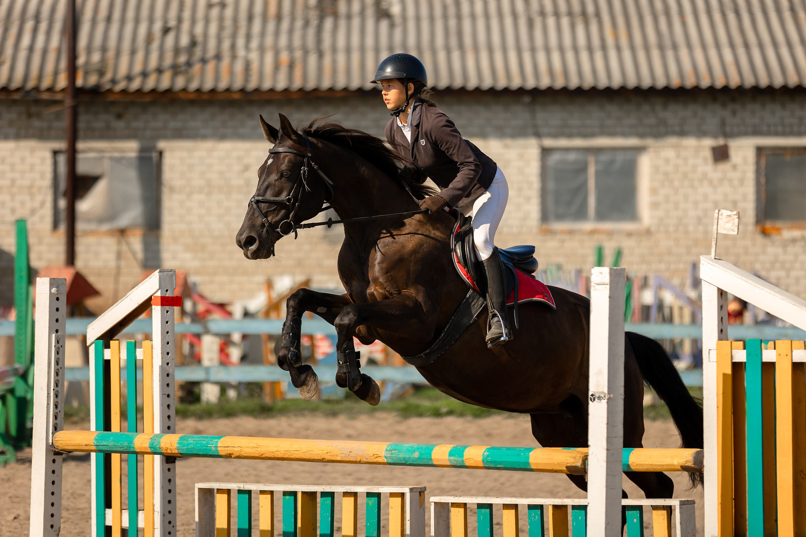 Соревнования по конному спорту. Конный фотограф Валынкина Лера
