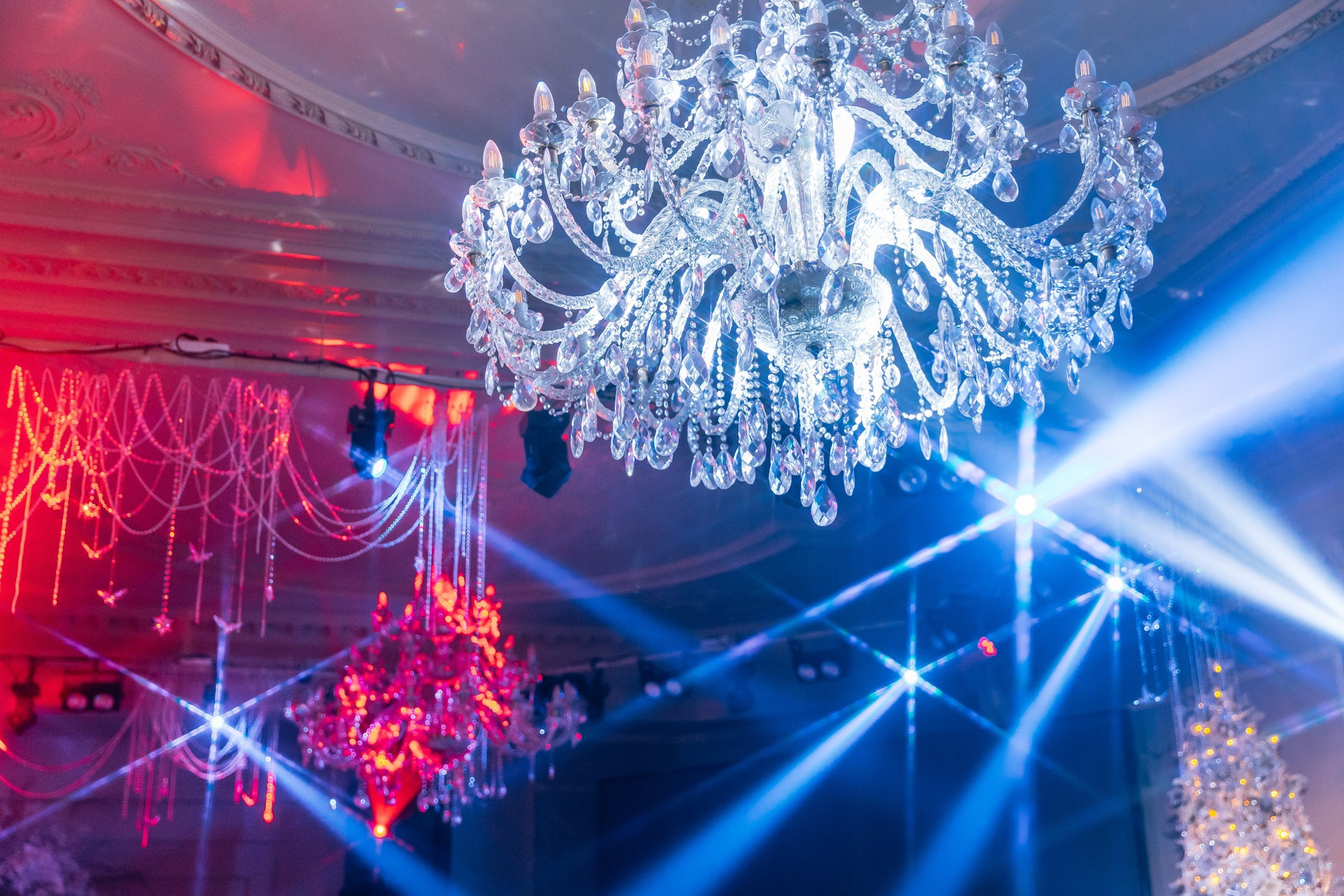 Новый Год 2025. Портфолио свадебного фотографа. Роман Каргаполов