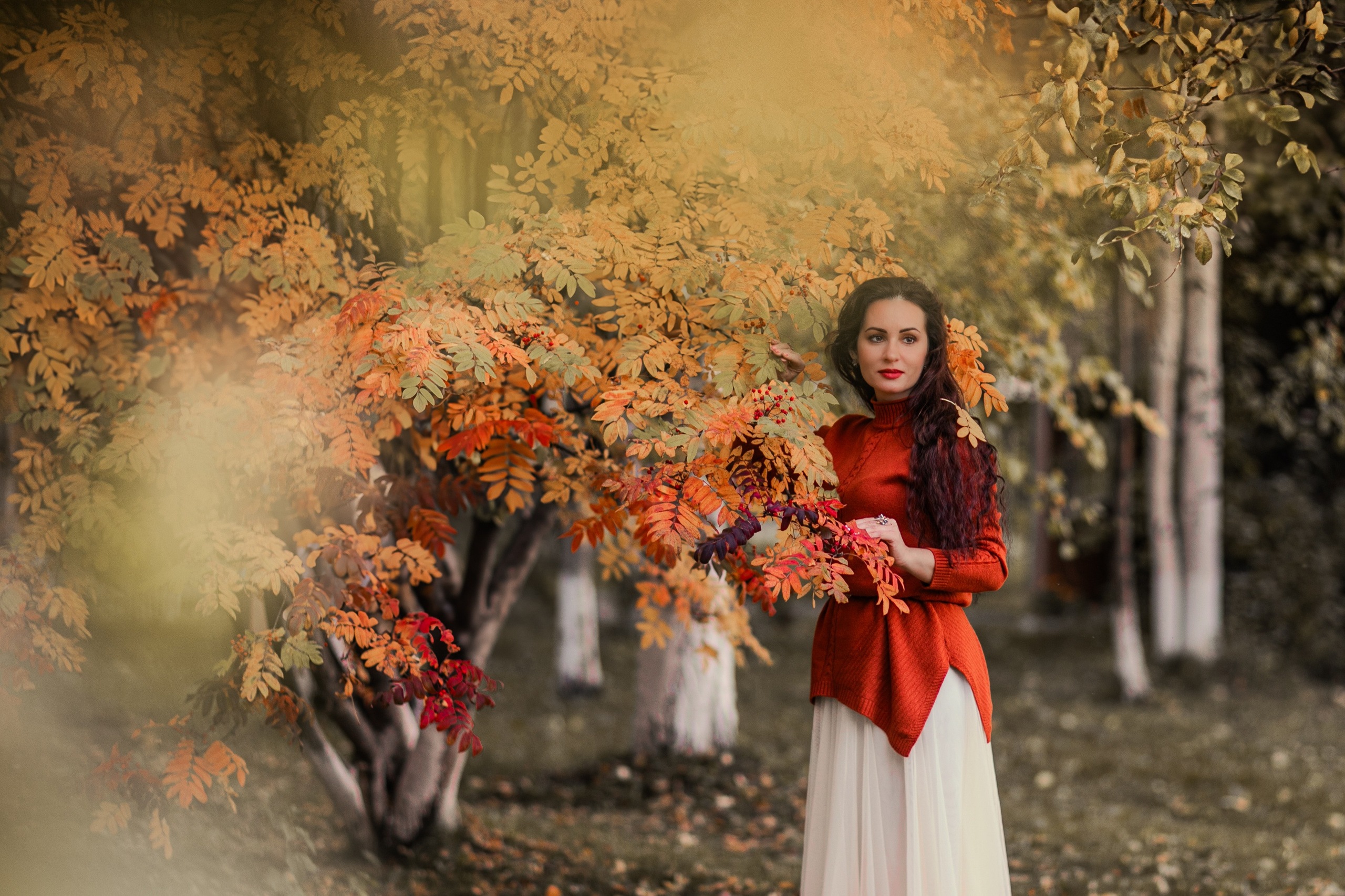 Очарование октября. Фотограф Елена Вишневская (Ушакова) Нефтеюганск, Сургут, Тюмень