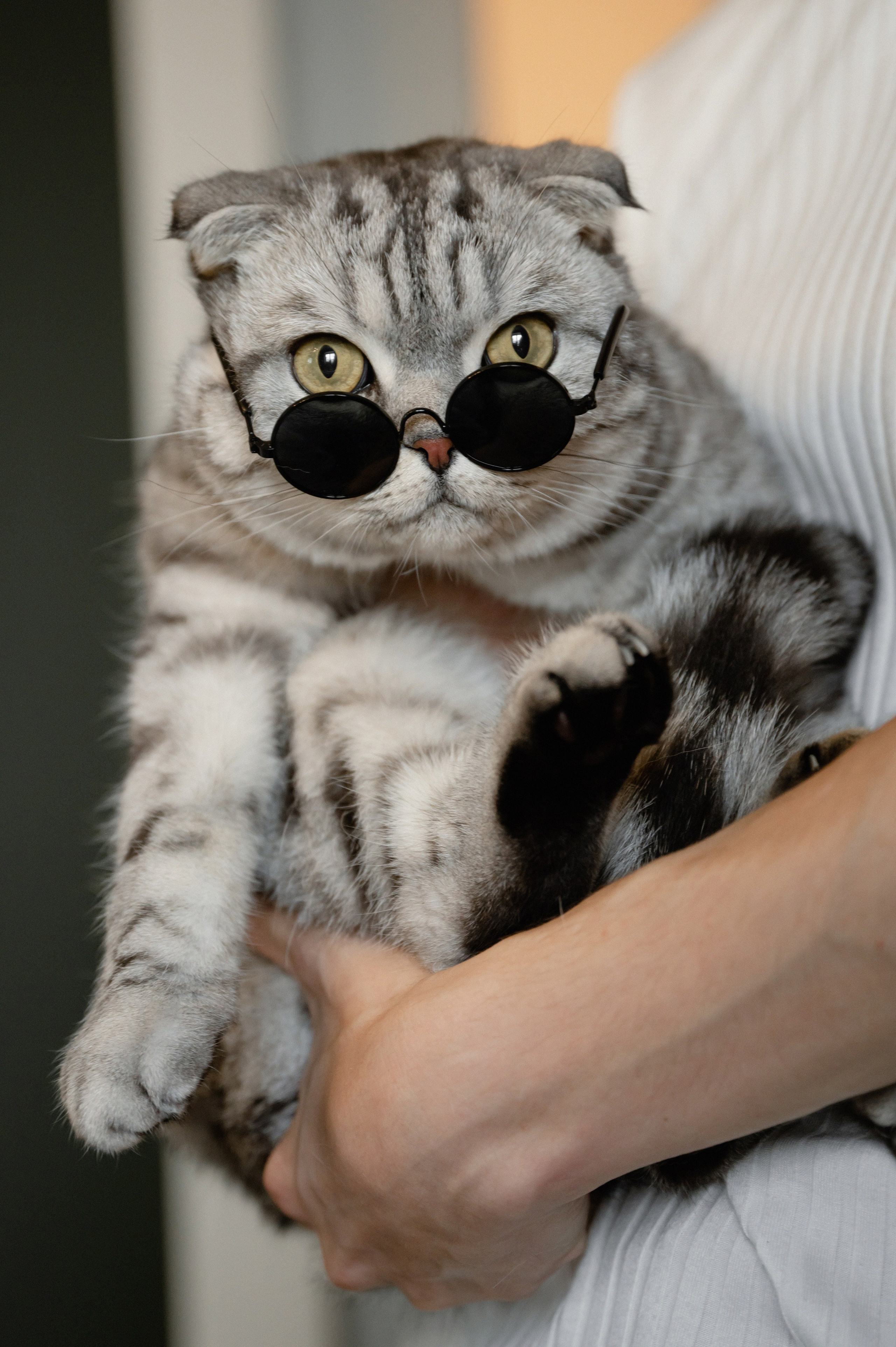 Дарья & Максим. Свадебный и семейный фотограф Тюмень Екатеринбург Москвина Алёна