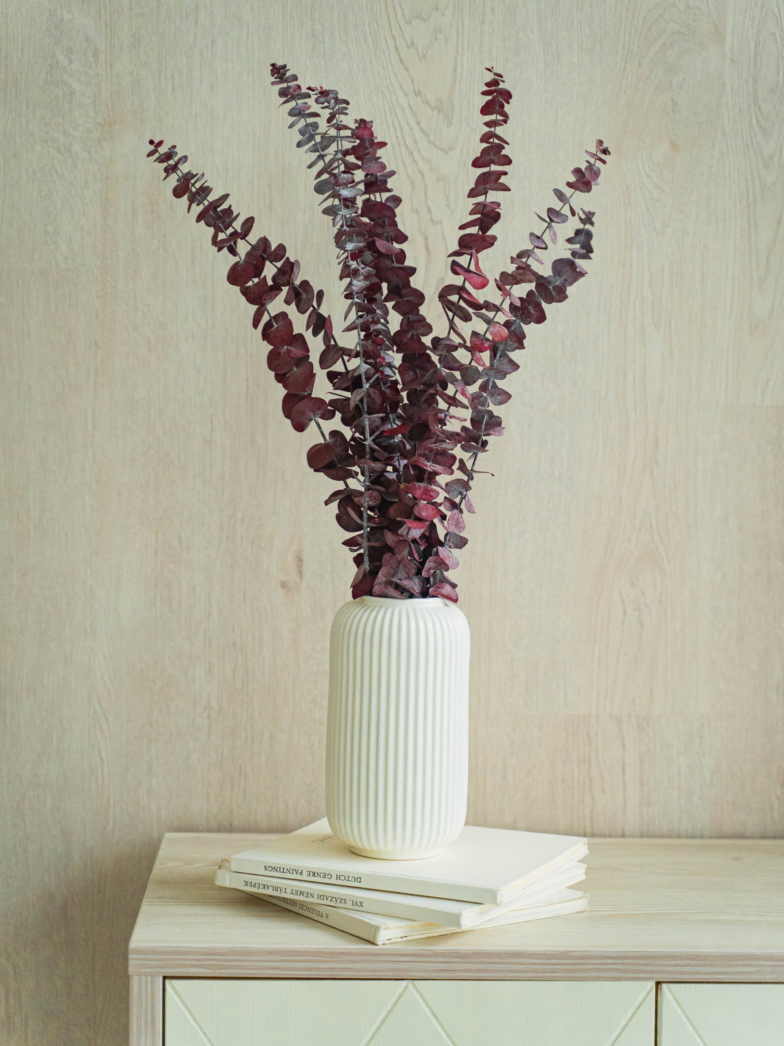 Сухоцветы. Фотограф в Москве Ленарская Дарья