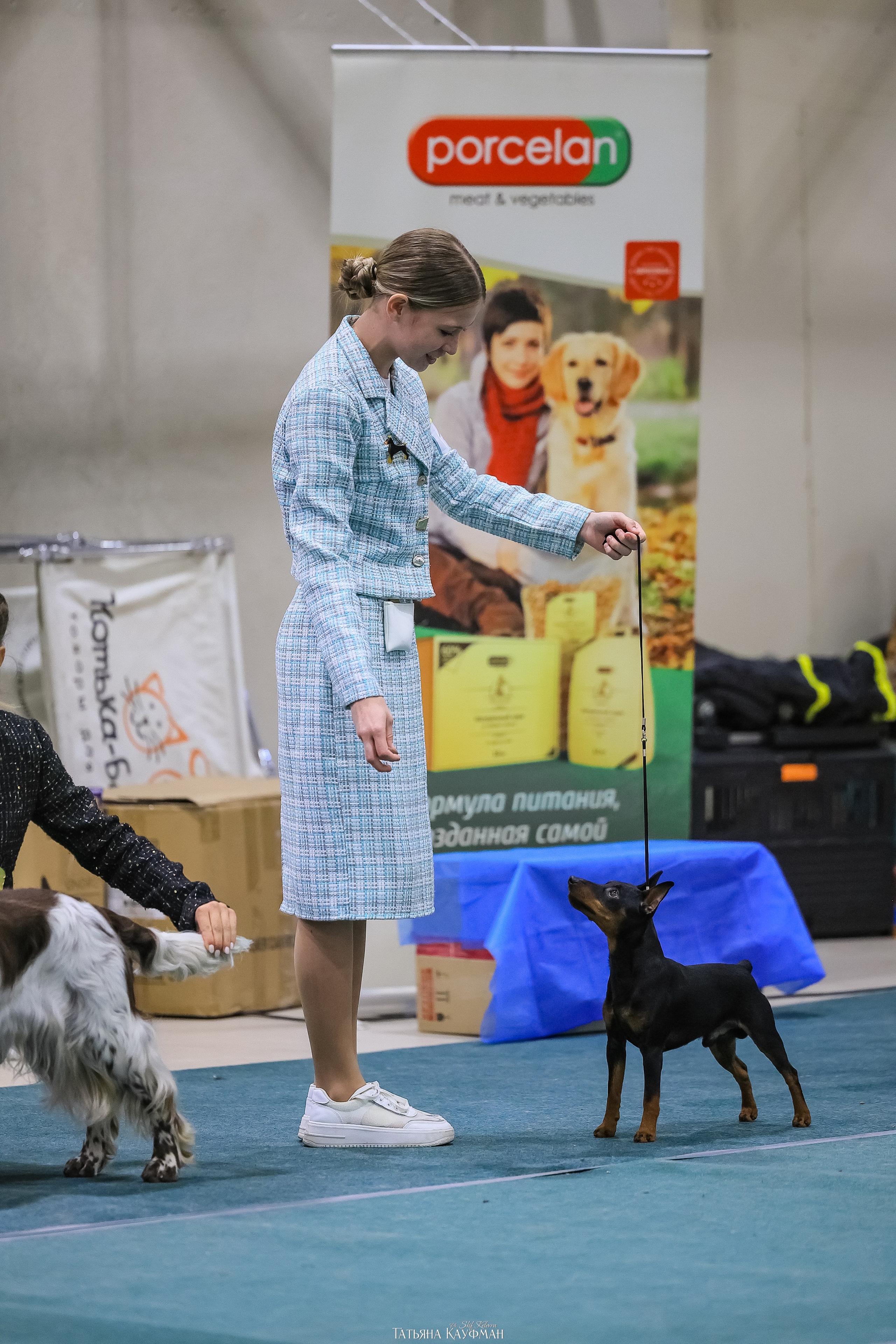 6-7.12.25 — 1-4 Национальные выставки собак в Новосибирске (2х рейтинговые). Фотограф Анималист из Новосибирска Татьяна Кауфман