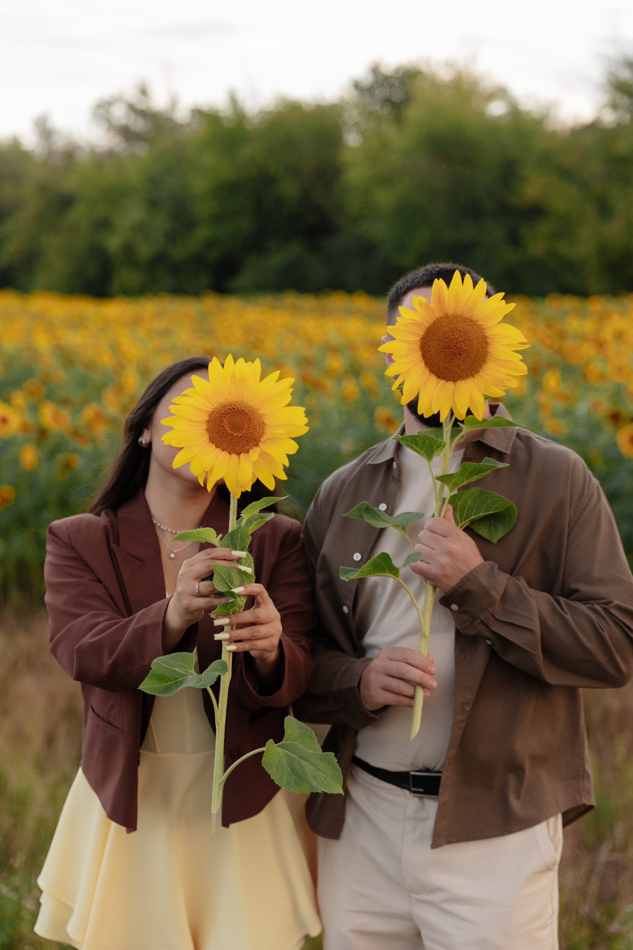 Предсвадебная Подсолнухи. Свадебный и репортажный фотограф г. Чебоксары Евгений Леонидович