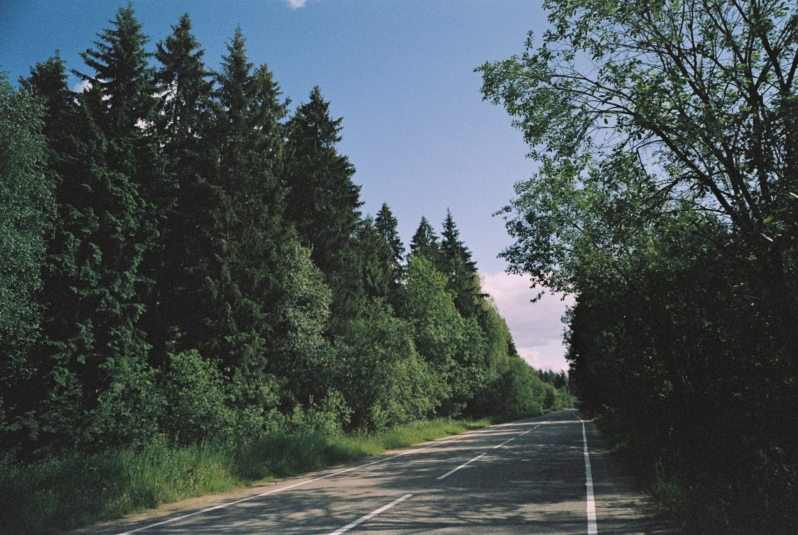 Contax G1 — Carl Zeiss Biogon T* 21 mm f2.8 | Kodak ProImage 100 | Лукино, Строгино