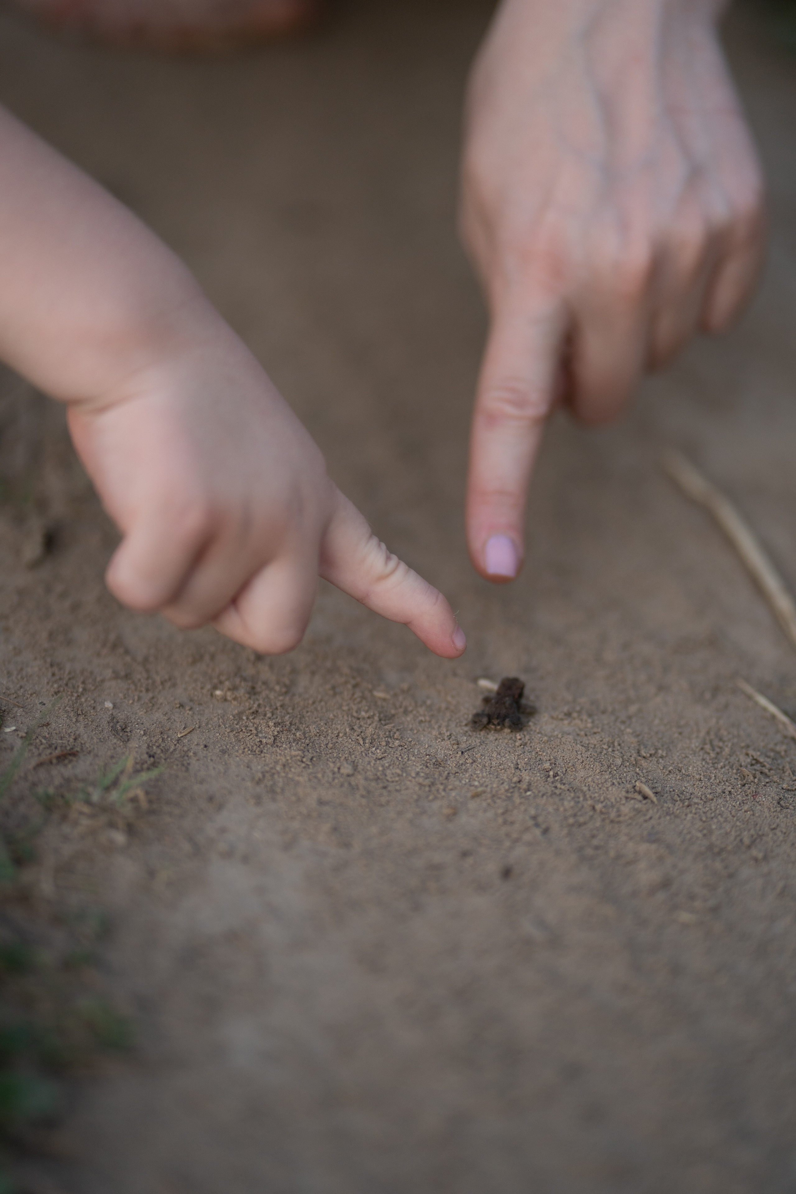 Светлана и Арсений. Фотограф Катя Стрельцова