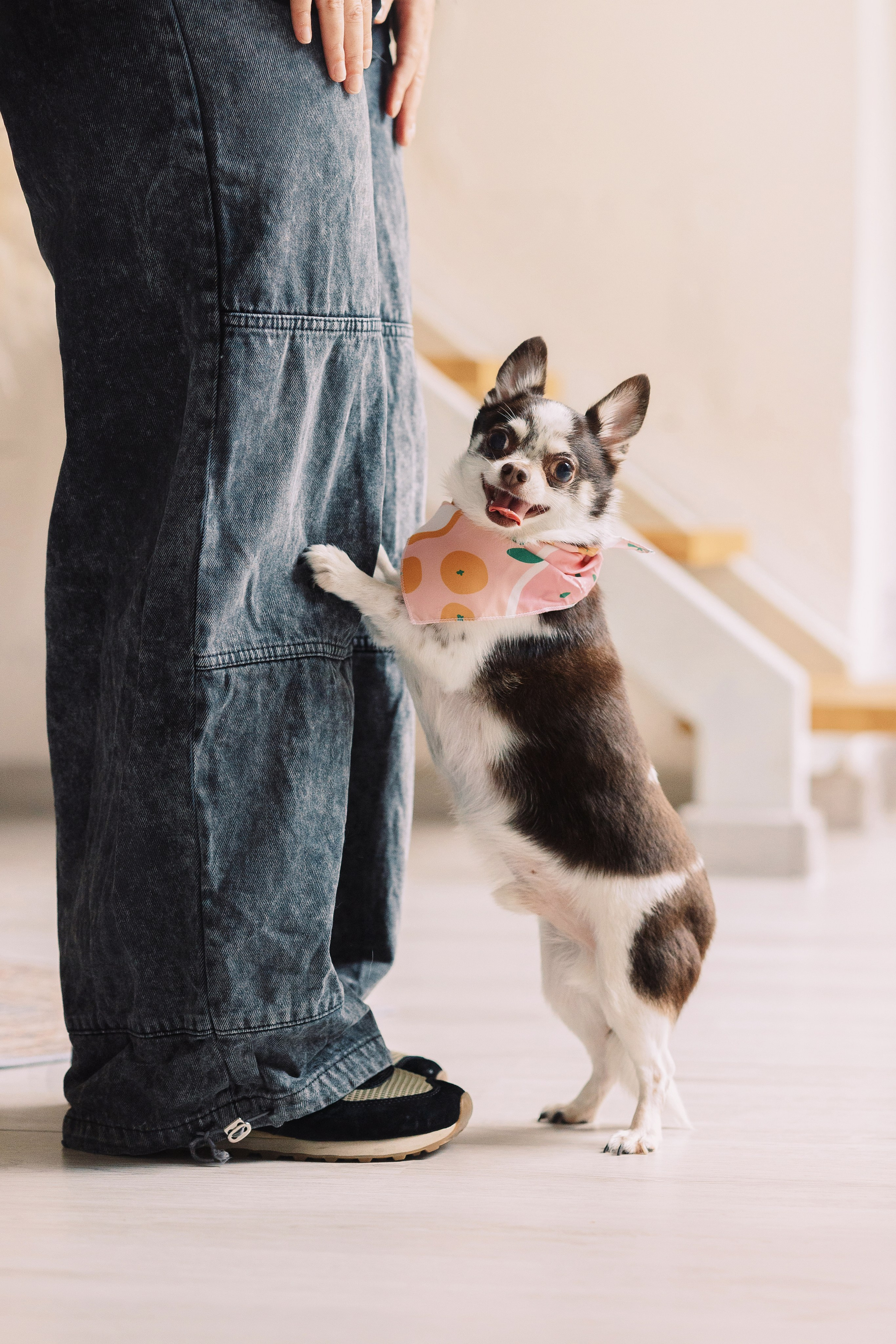 Магазин Friend of mine. Фотограф-анималист Елена Радченко, Москва