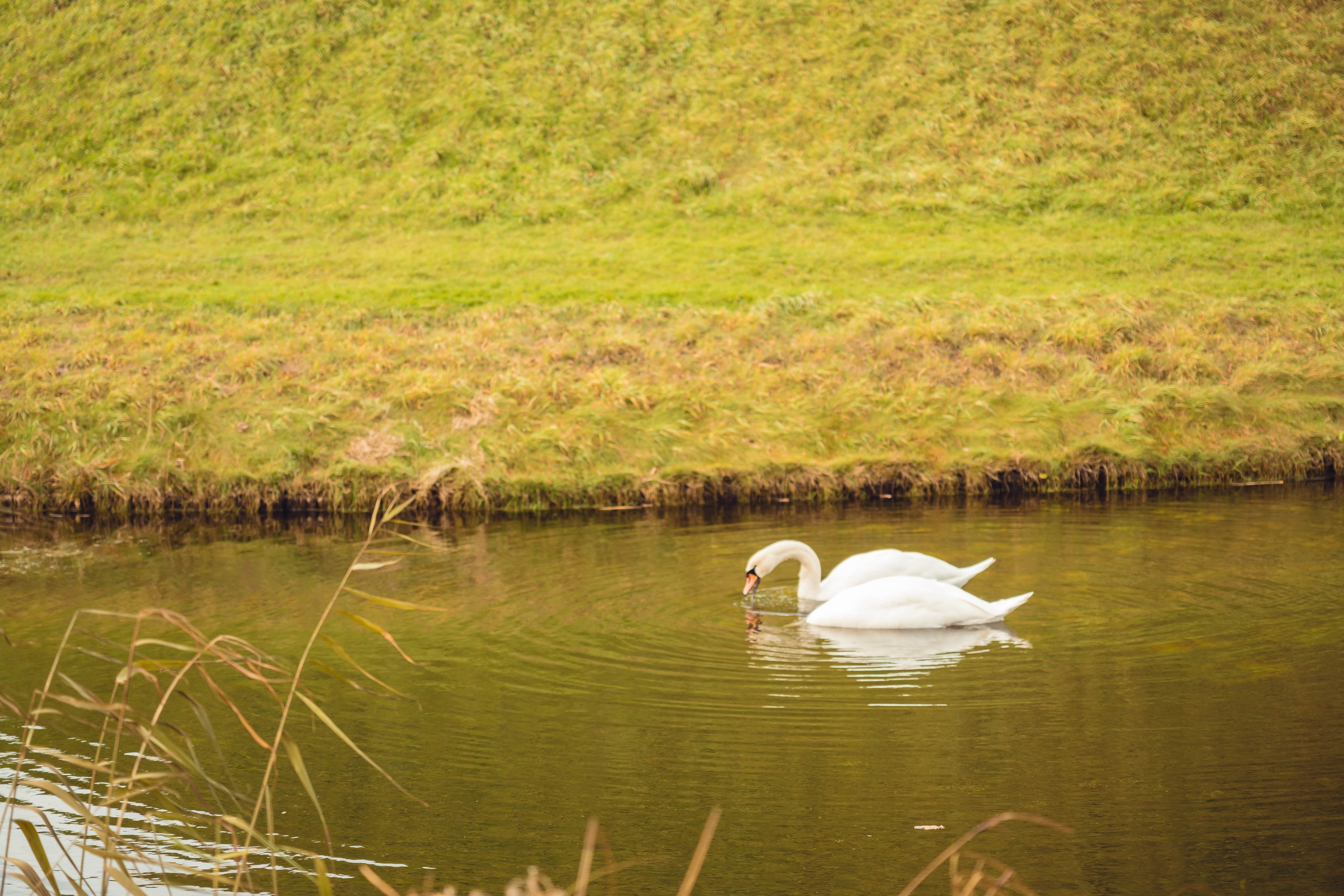 Дания. Фотографирую для себя, своей семьи и друзей!