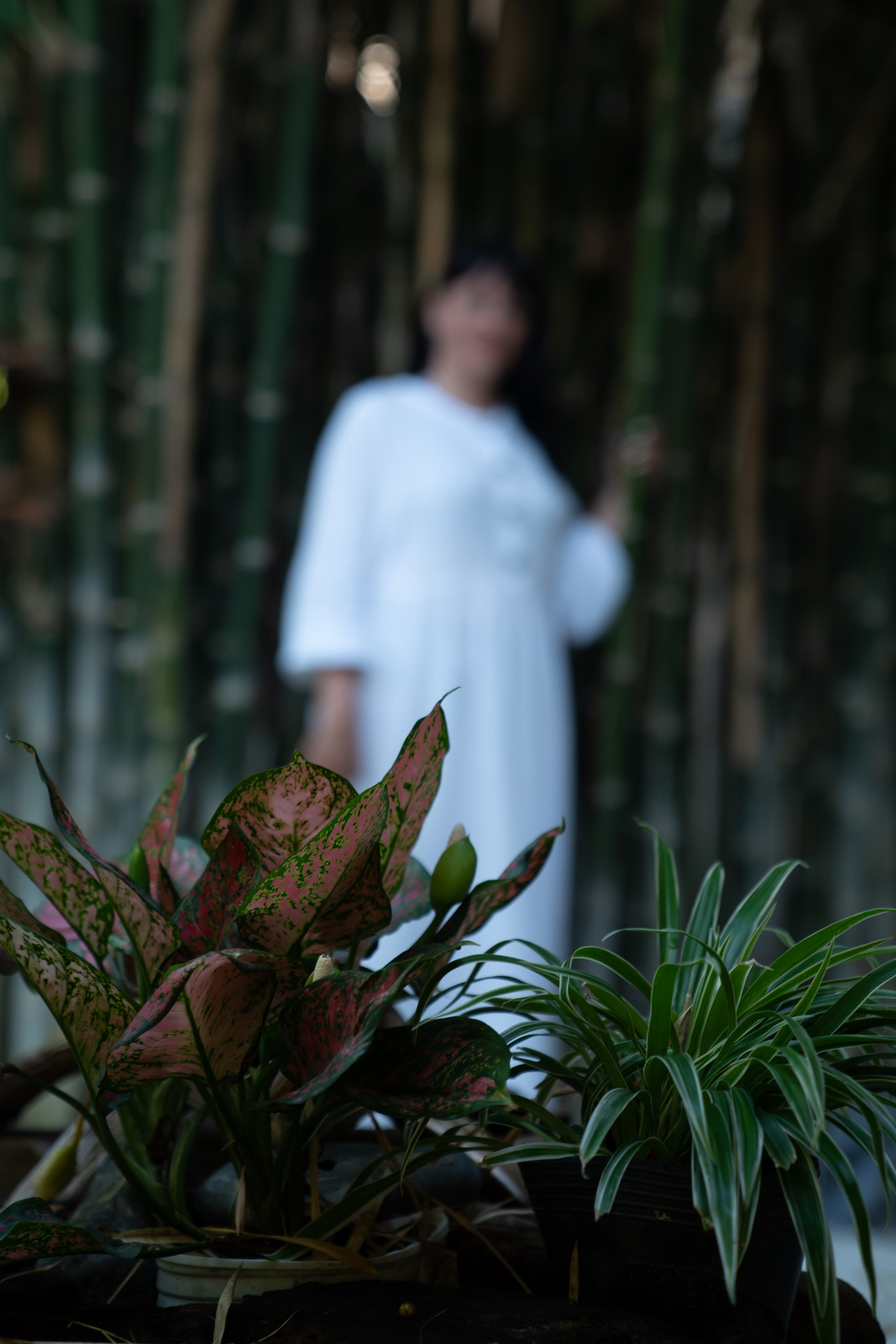 Фотосессия Людмилы в Муйне | Женственные фото в красивых местах. Фотограф в Муйне и Фанхьете — Фотосессии для туристов, пар и семей